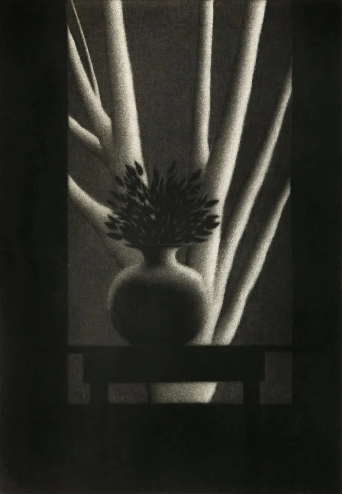 Robert Kipniss The black table  Mezzotint on Somerset paper of a black room and table with a vase and foliage and a white tree in back window