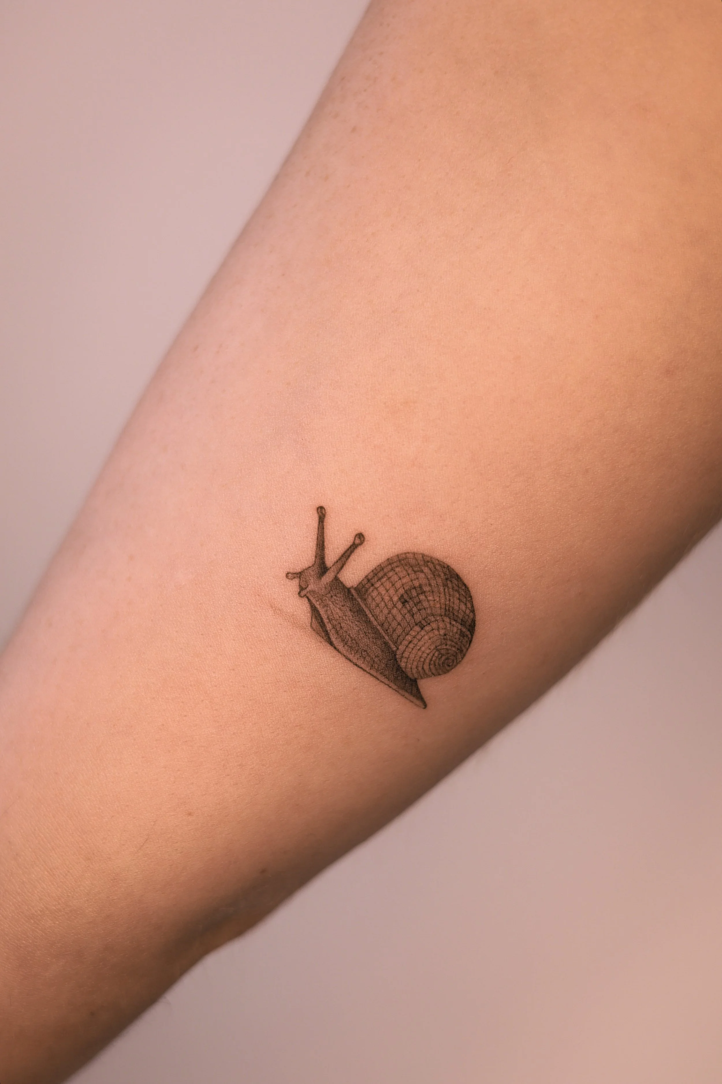 A small snail tattoo with a disco ball shell in micro realism style done by tattoo artist in Vienna.