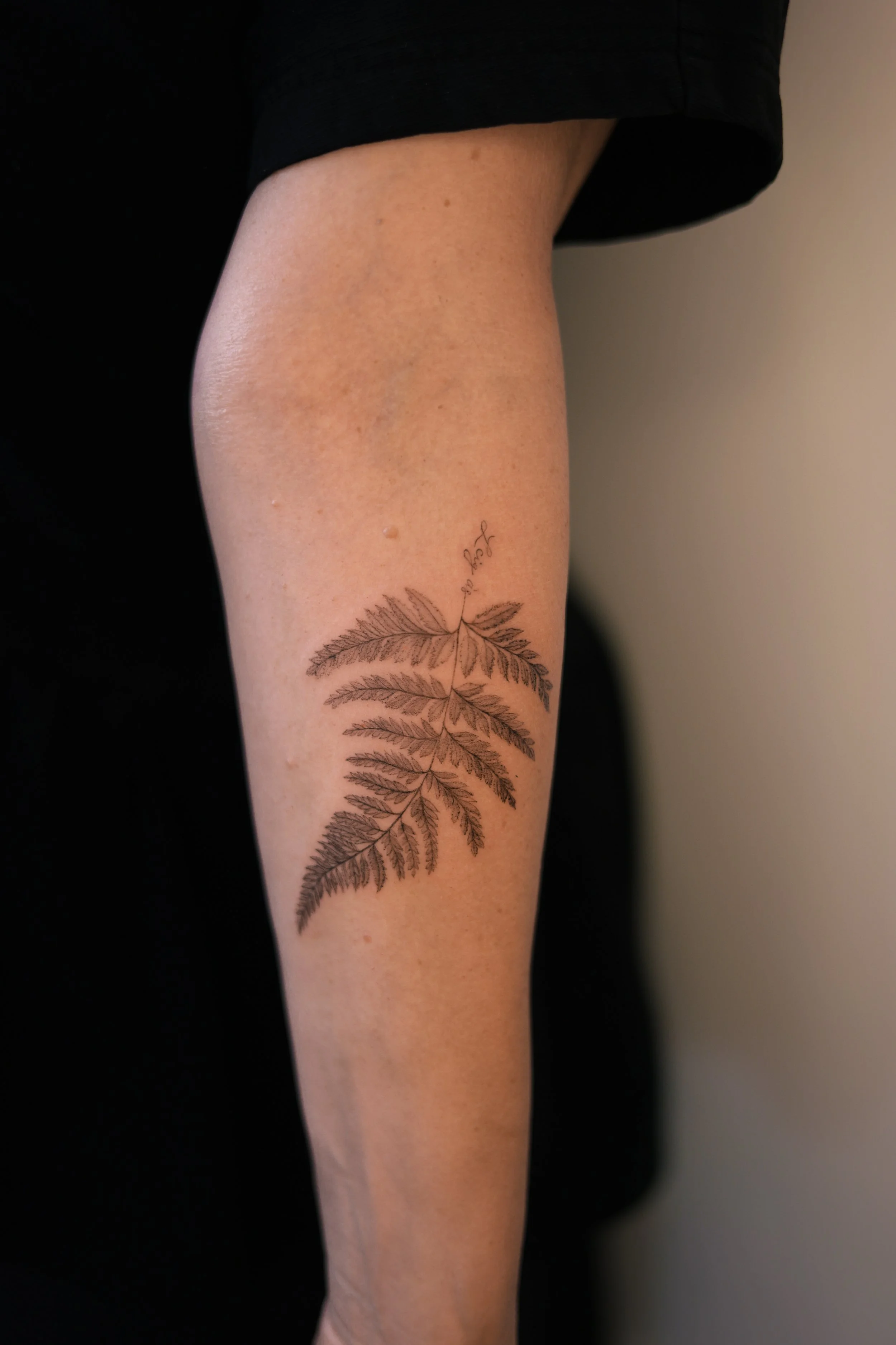 Detailed black and grey fern tattoo on the forearm, with finely shaded leaflets and small cursive lettering, by a Vienna tattoo artist.