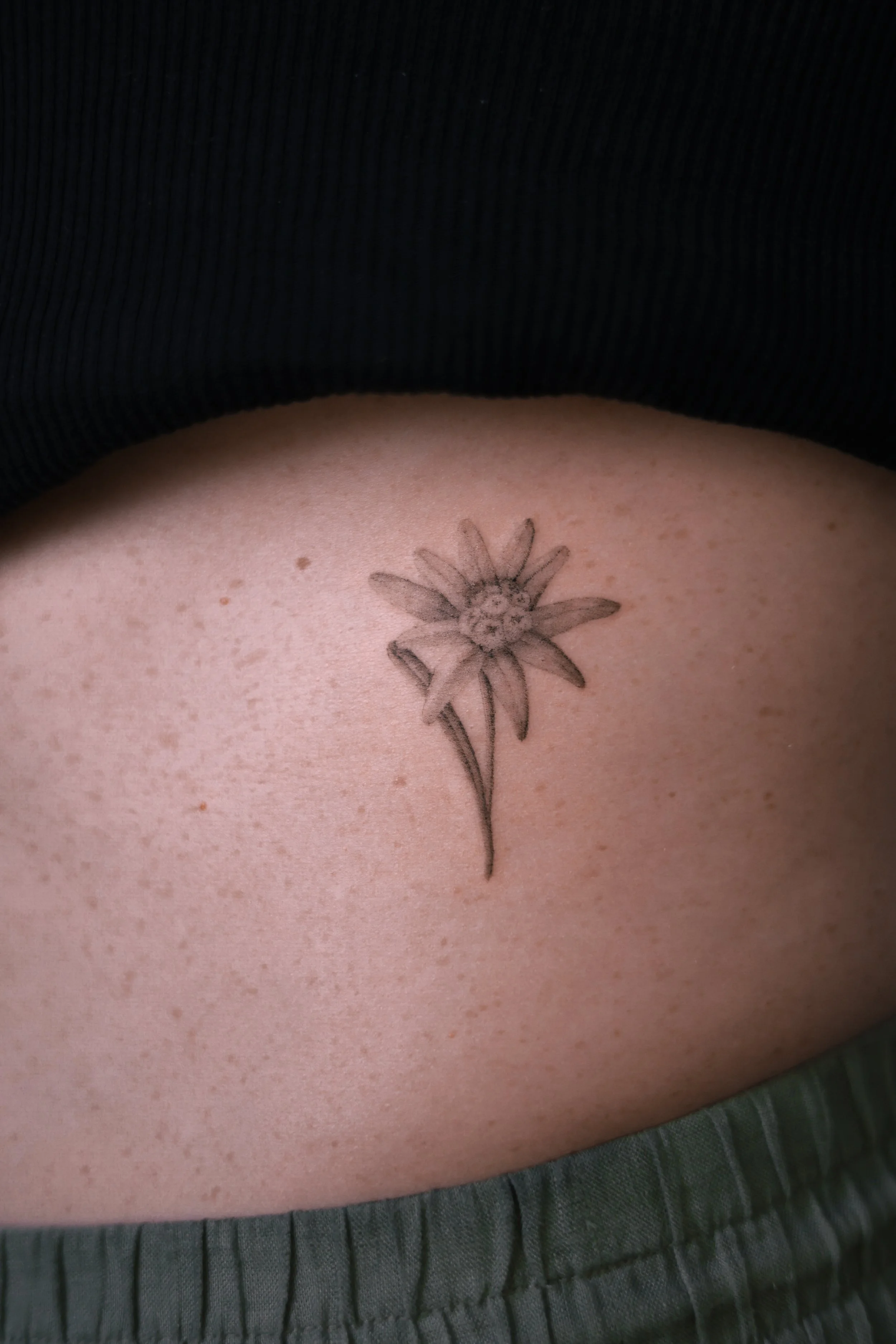 Small micro realism edelweiss tattoo on the side of the waist, with delicate petals and soft black and grey shading, by a Vienna tattoo artist.