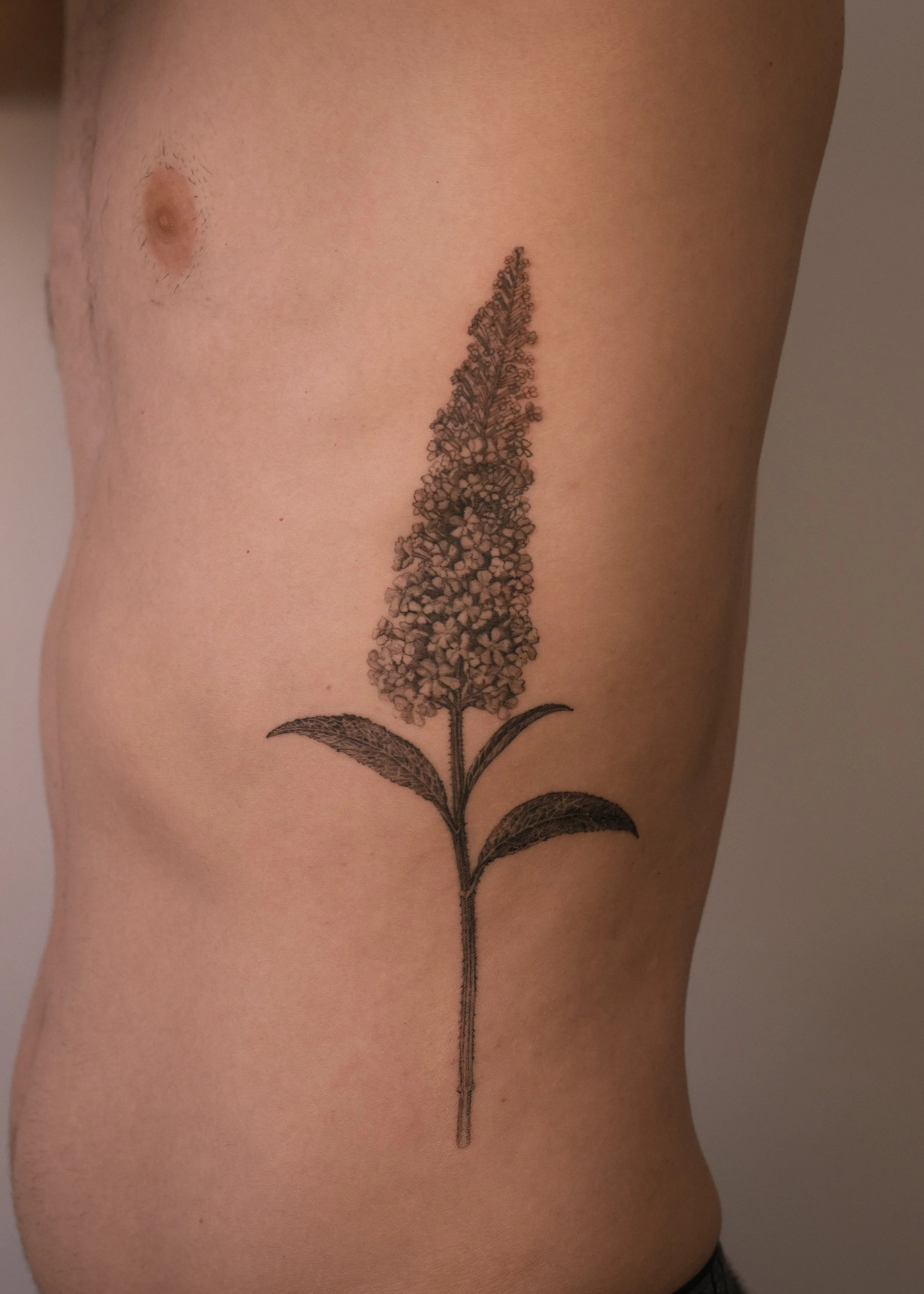 Detailed botanical tattoo along the ribs, featuring a tall cluster of flowers and textured leaves in black and grey, by a Vienna tattoo artist.