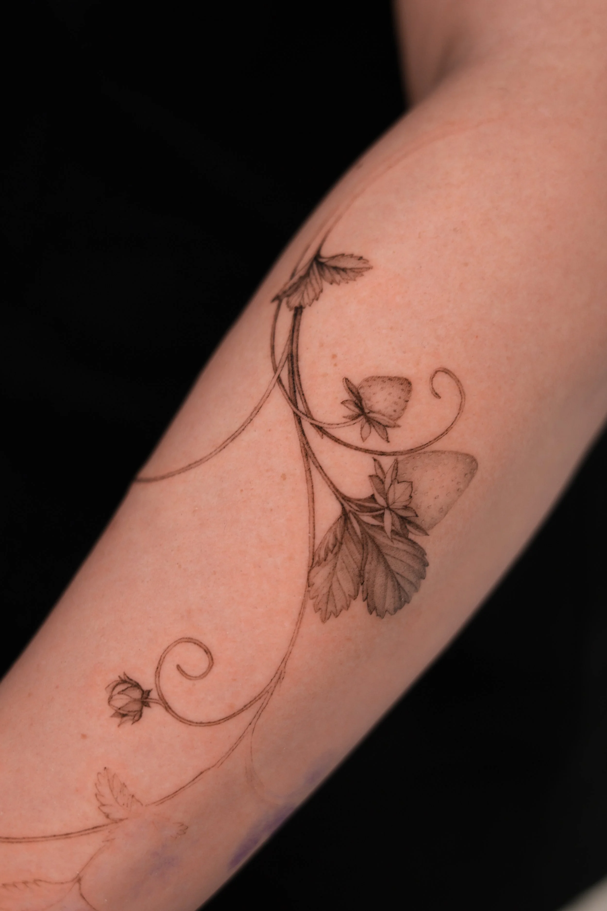 Fine line strawberry vine tattoo on the arm, with two shaded strawberries, textured leaves and curling stems, by a Vienna tattoo artist.