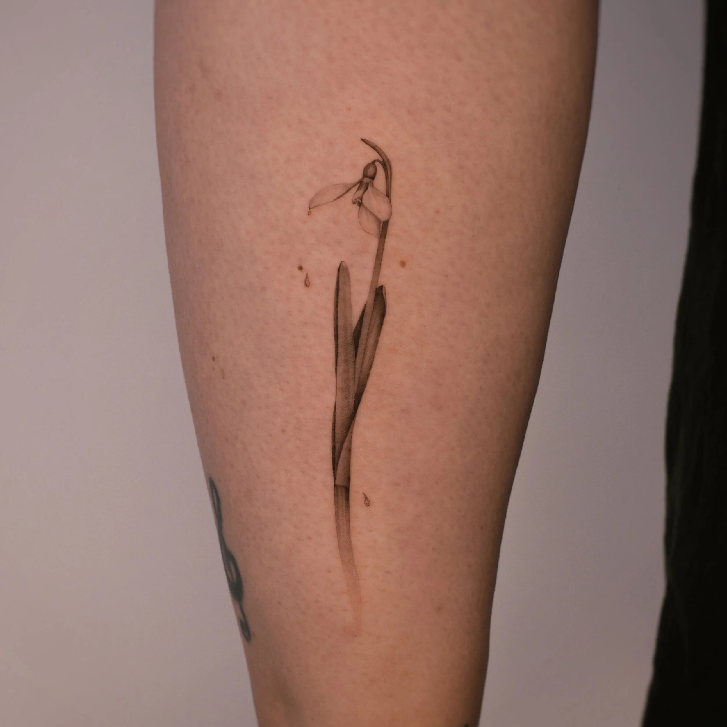 Delicate snowdrop flower tattoo in fine line and micro realism style with soft shading and botanical details on the leg, created by Vienna tattoo artist