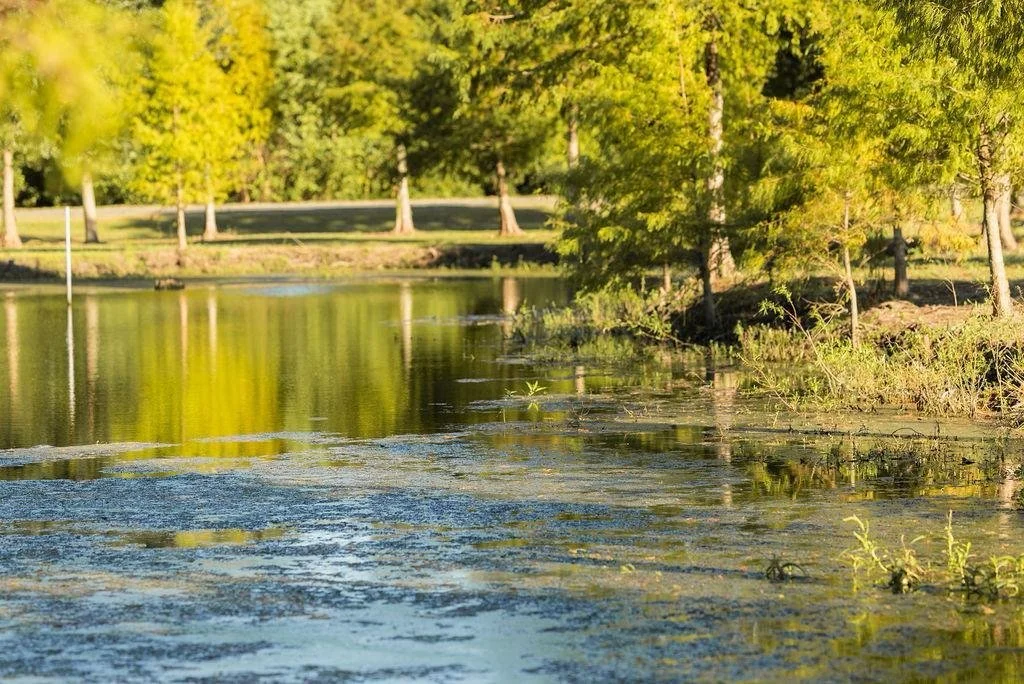 WhatsApp Image 2025-06-27 at 3.34.14 AM.jpeg