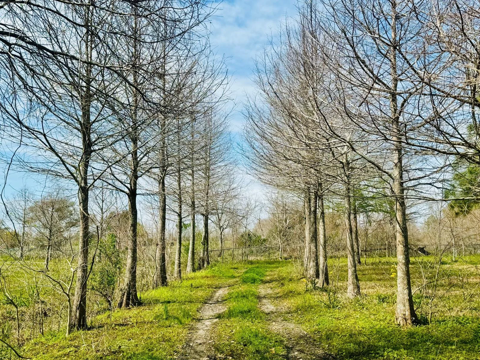 WhatsApp Image 2025-06-27 at 3.34.32 AM.jpeg