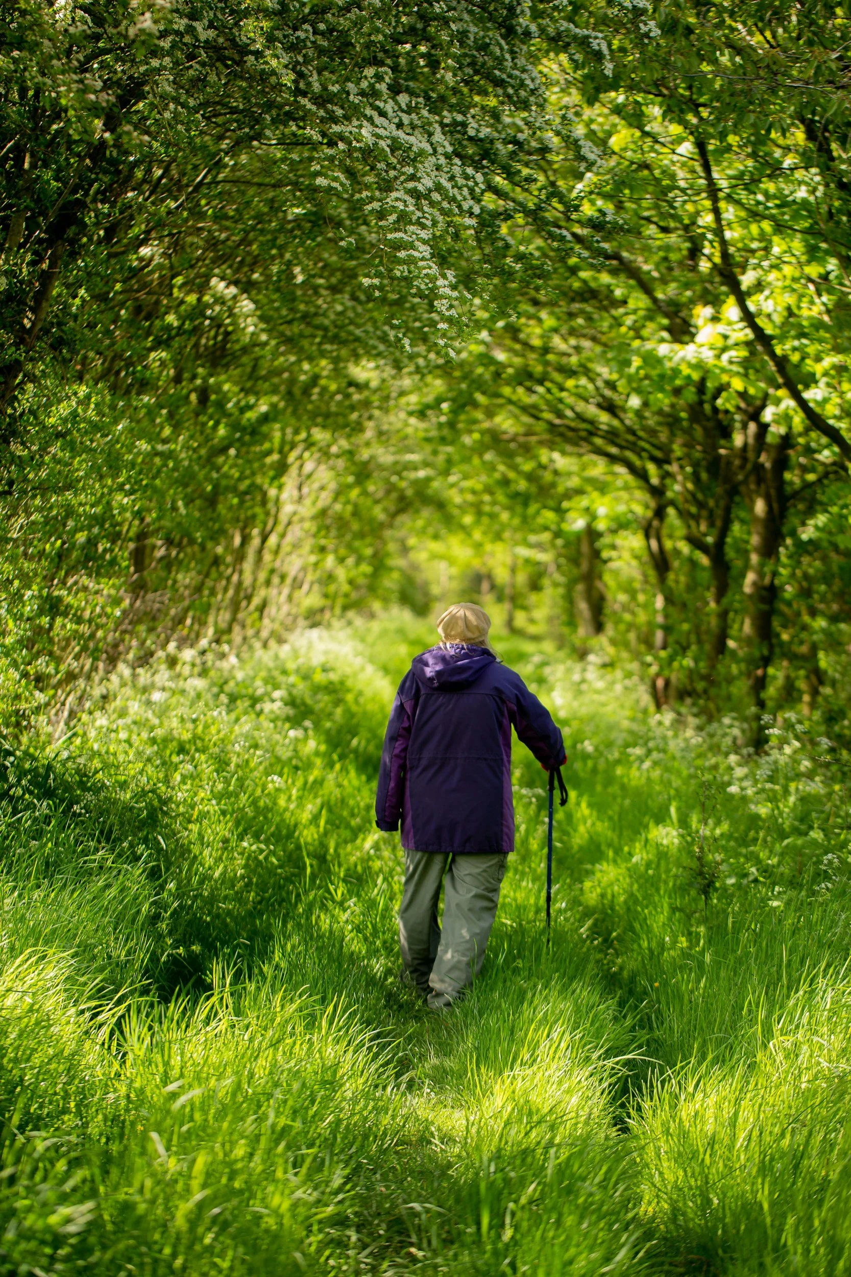 Stop Talking About the Trail and Start Walking It