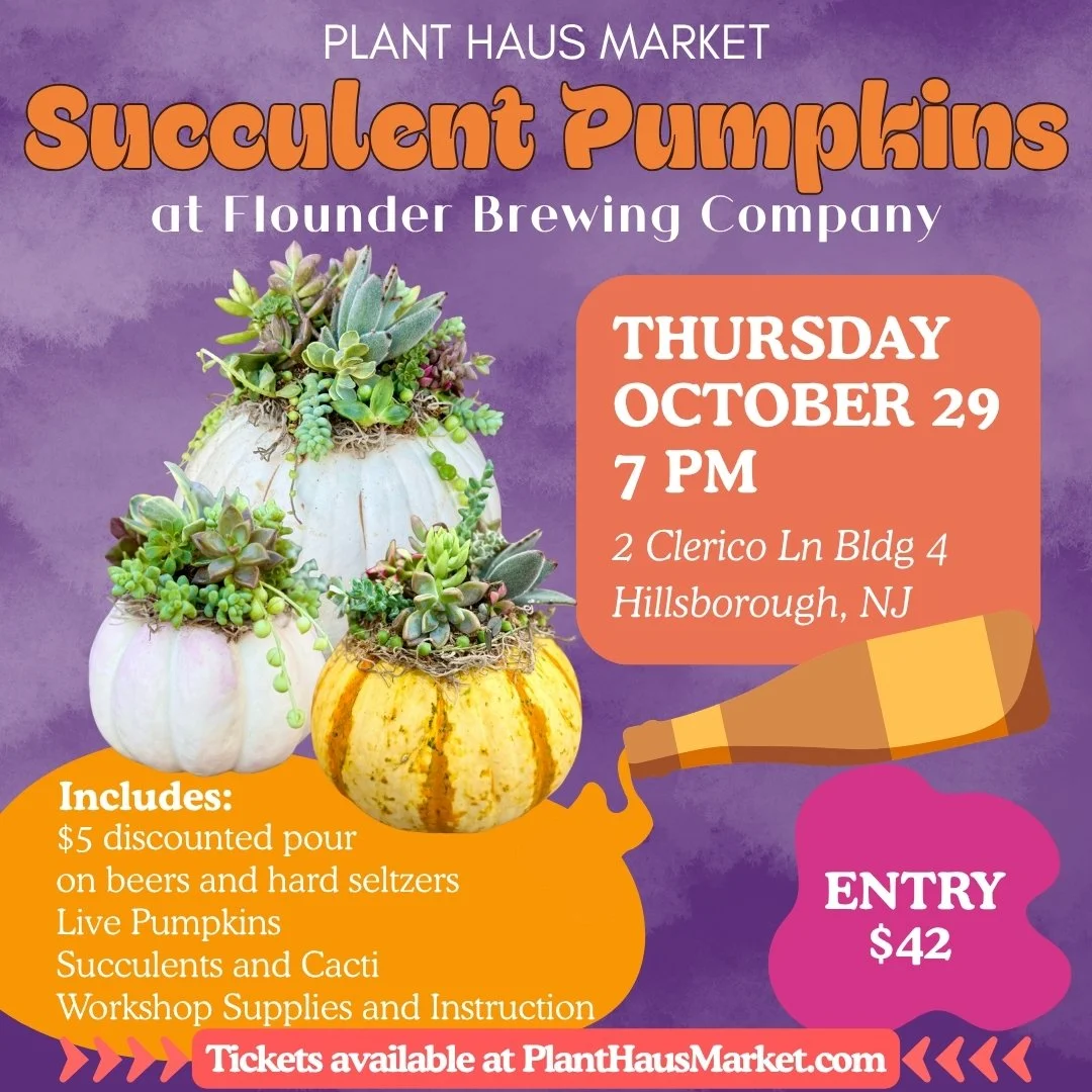 Succulent Pumpkin Arranging Workshop