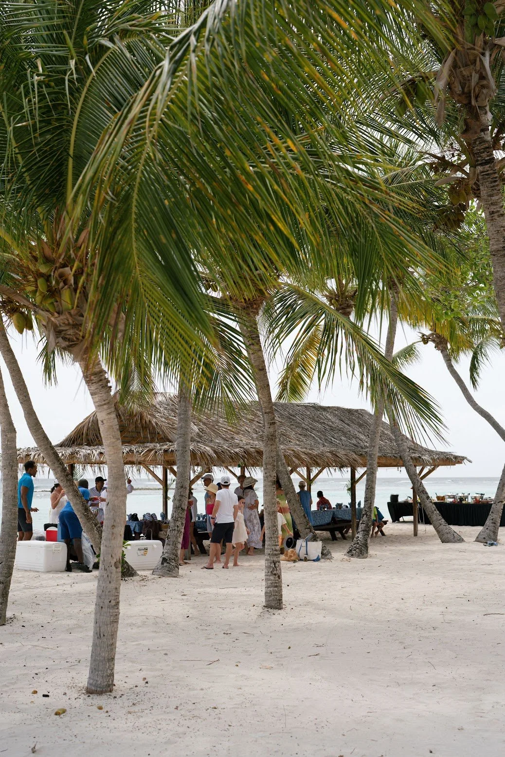 Beach Picnic