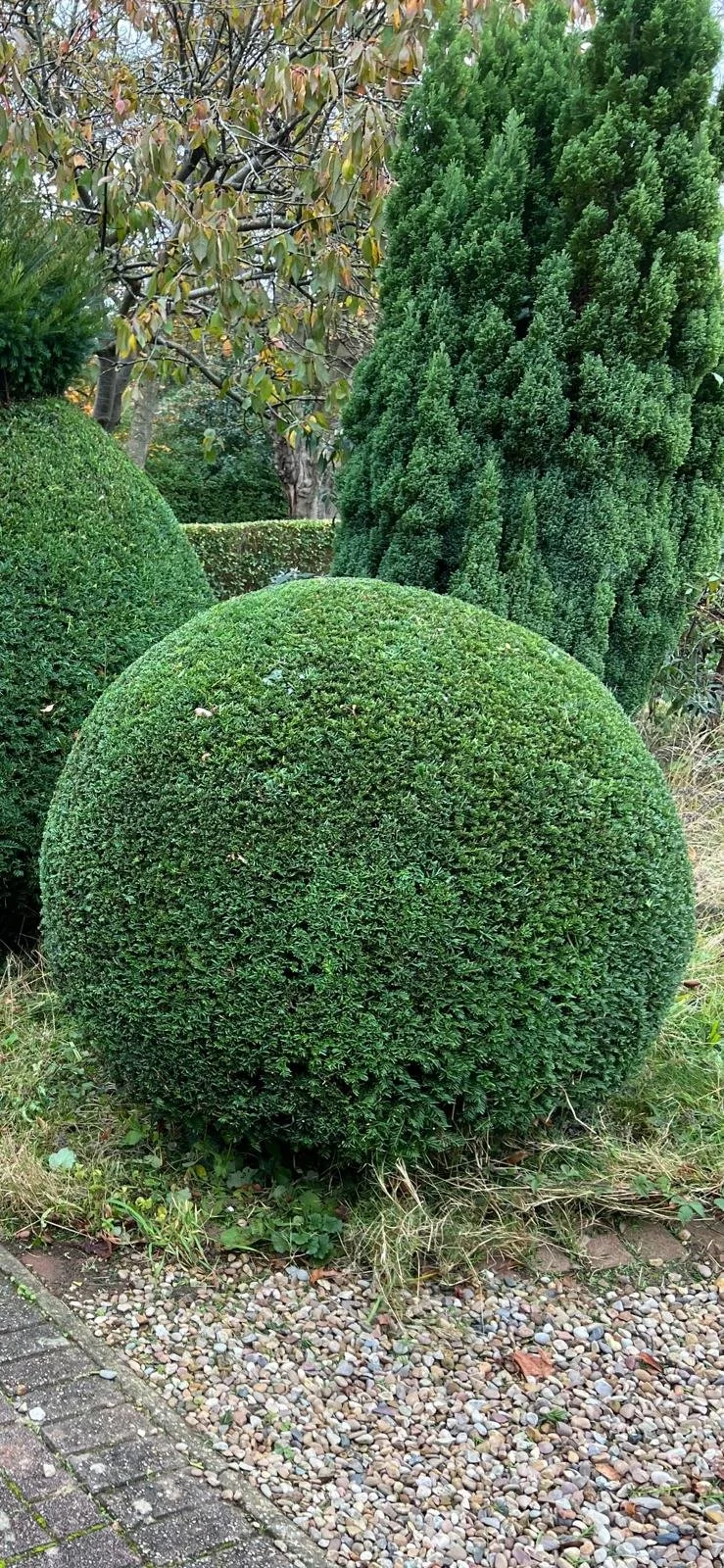 WhatsApp Image 2025-06-10 at 2.37.41 PM.jpeg