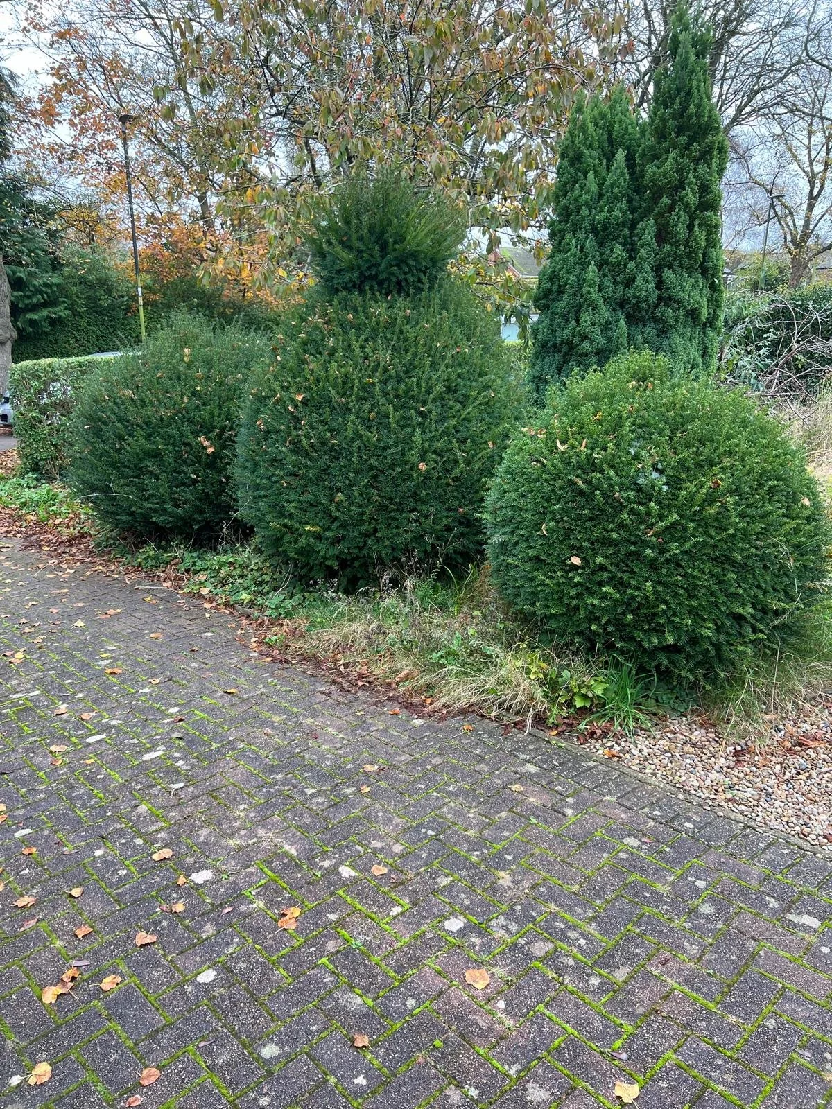 WhatsApp Image 2025-06-10 at 2.37.35 PM.jpeg