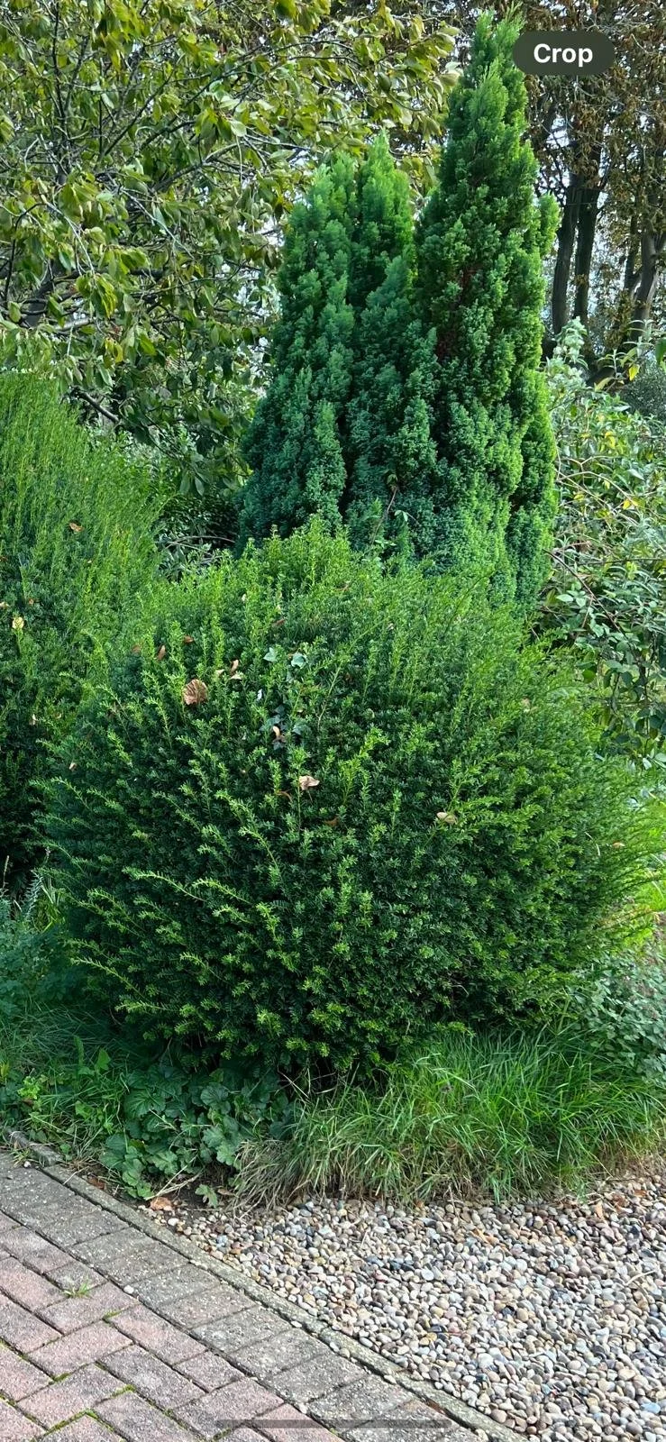 WhatsApp Image 2025-06-10 at 2.37.40 PM.jpeg