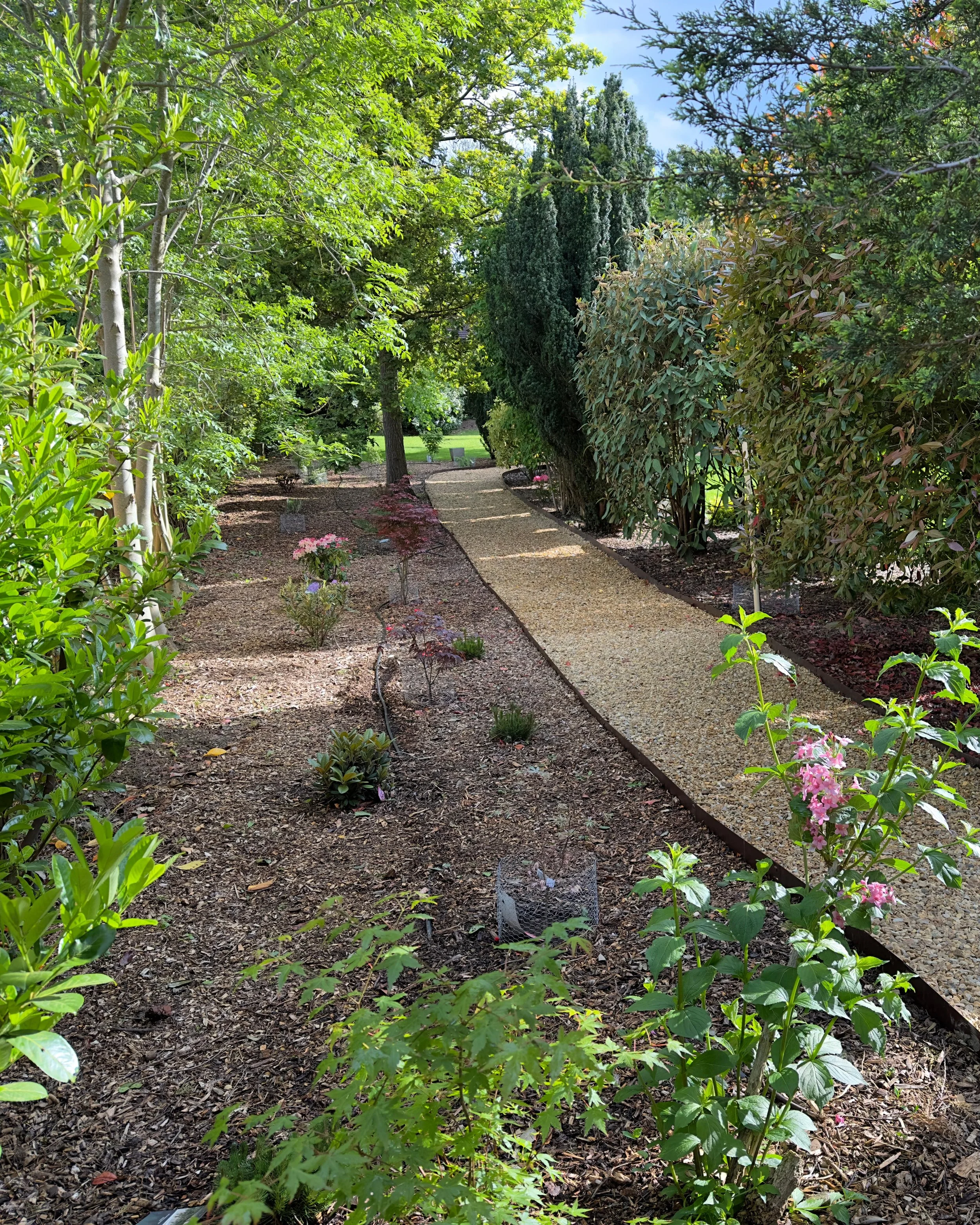 WhatsApp Image 2025-06-10 at 4.12.17 PM.jpeg