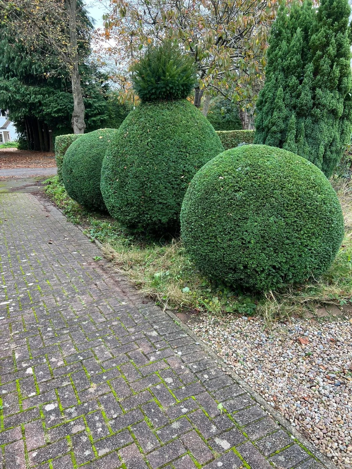 WhatsApp Image 2025-06-10 at 2.37.39 PM.jpeg