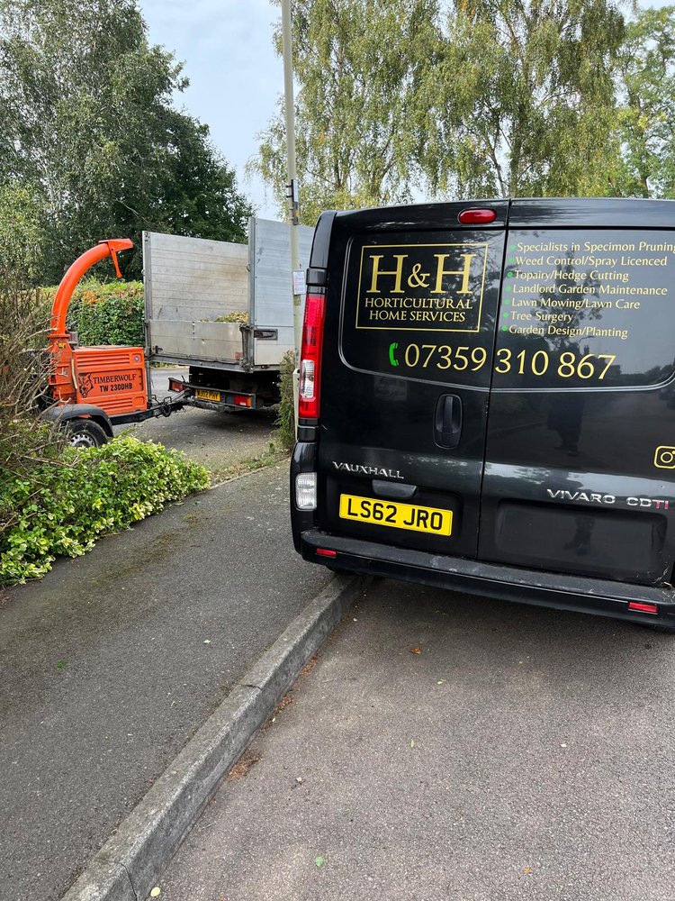 Tree Surgery Service