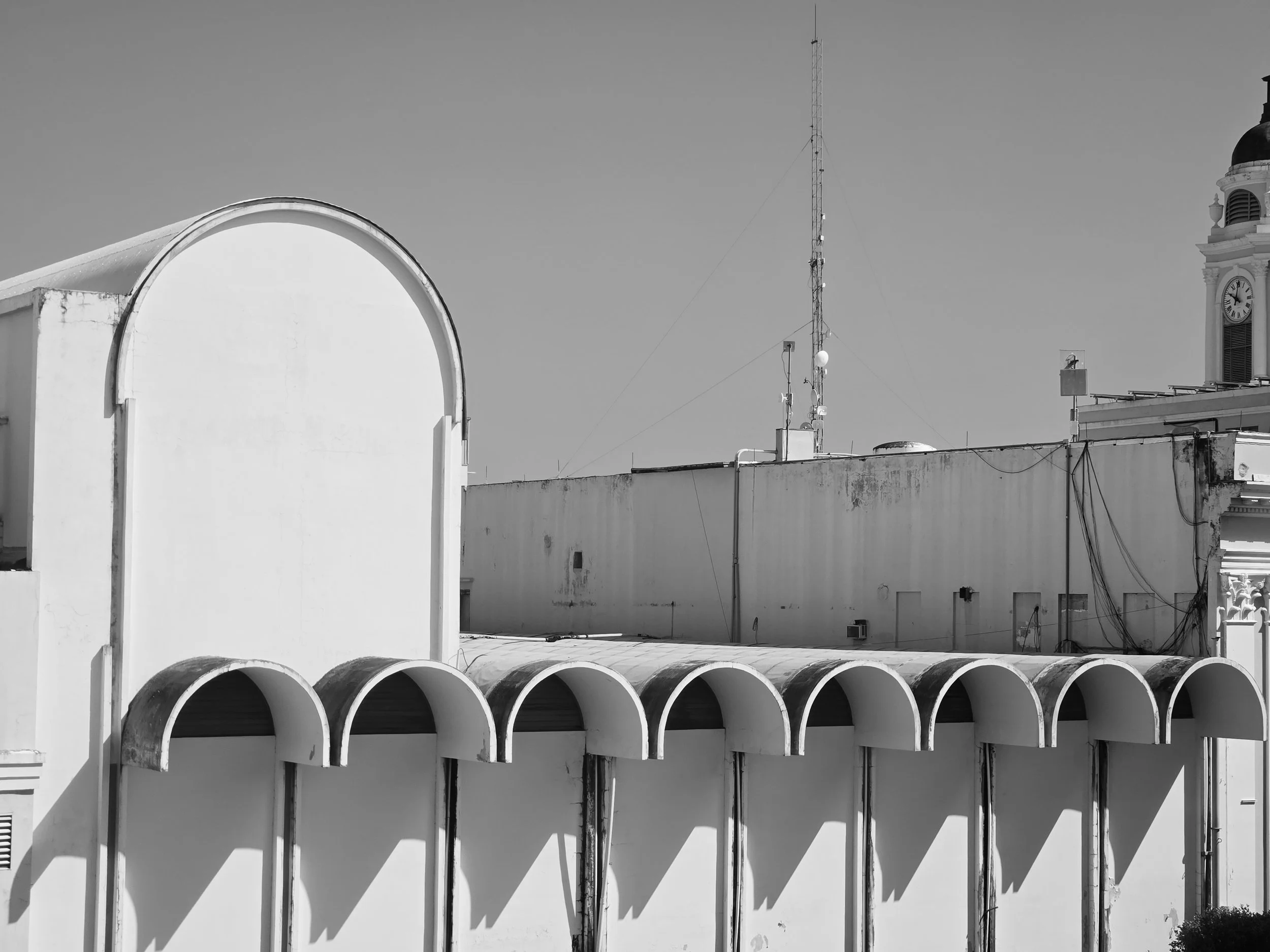 20241026_100224.jpg