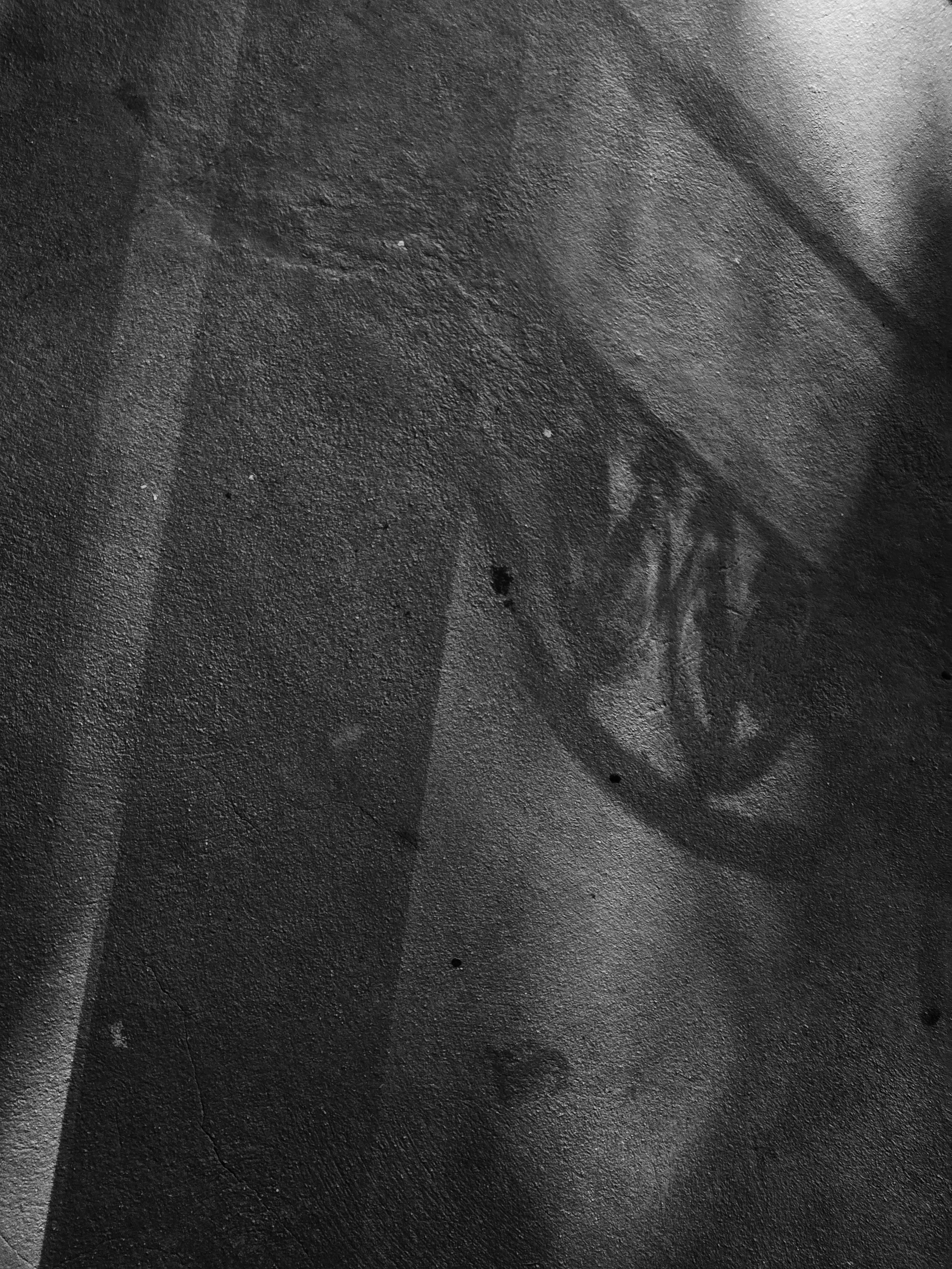 20240928_075250.jpg