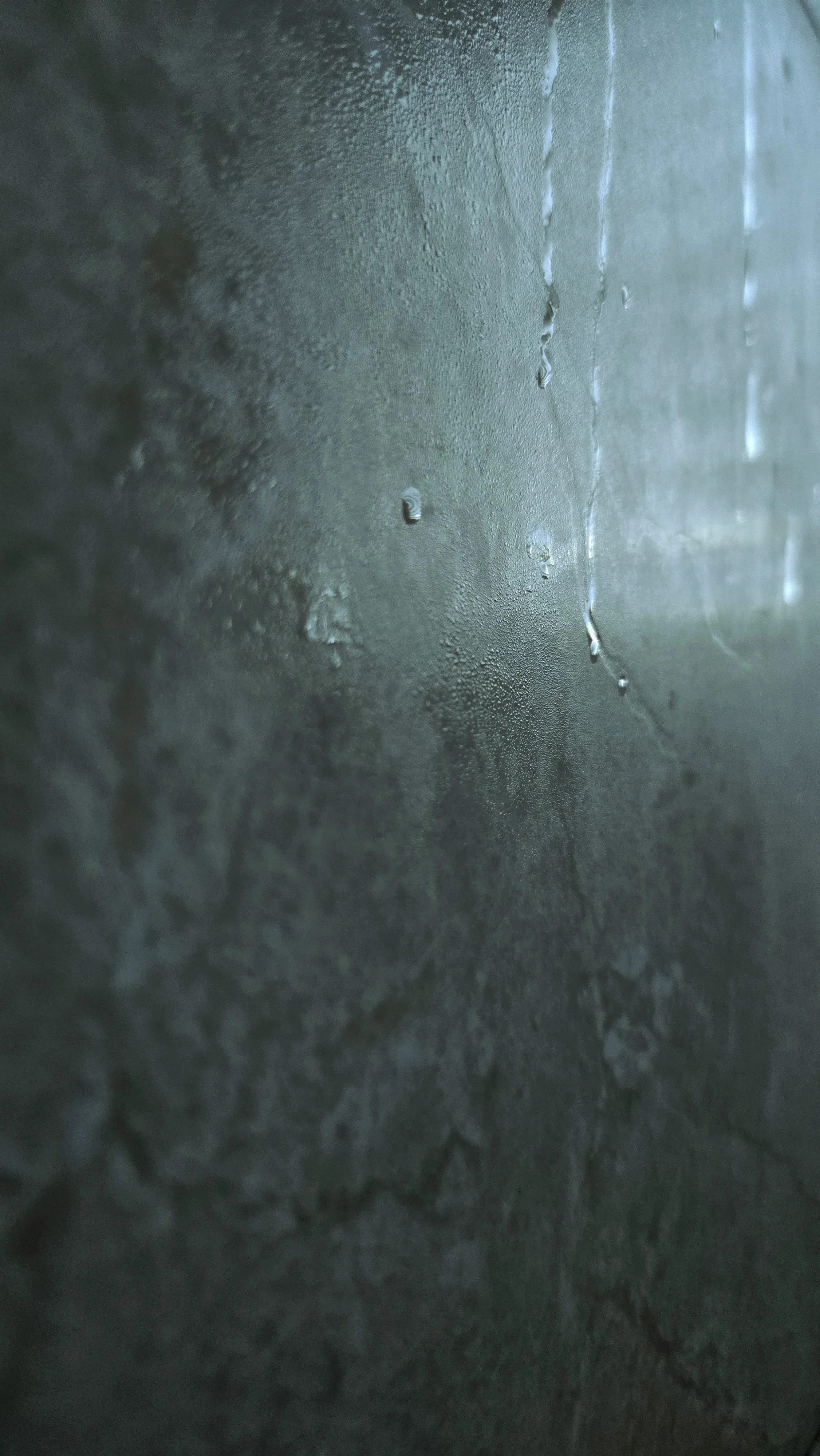 20241214_155108.jpg