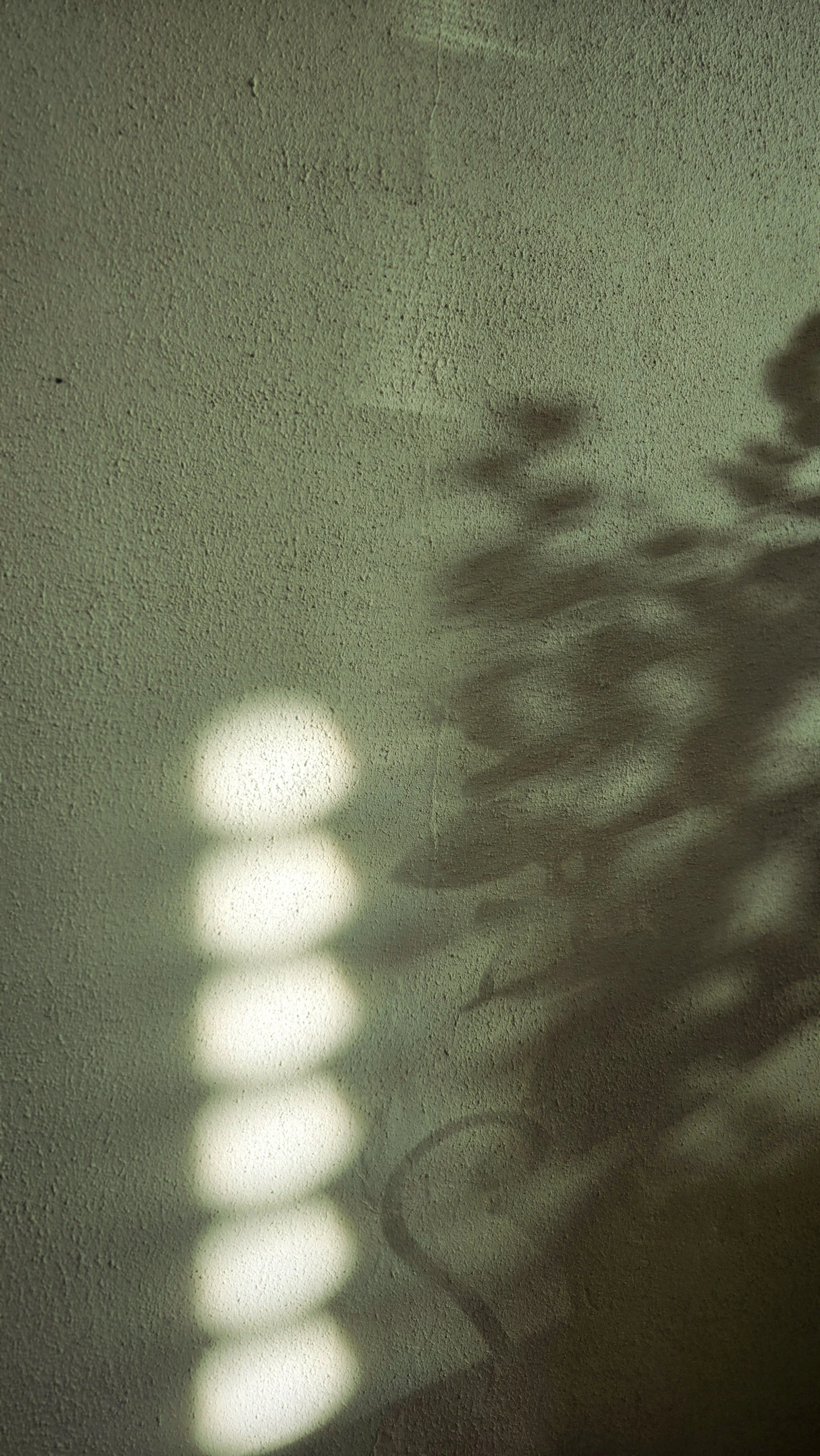 20241214_164941.jpg