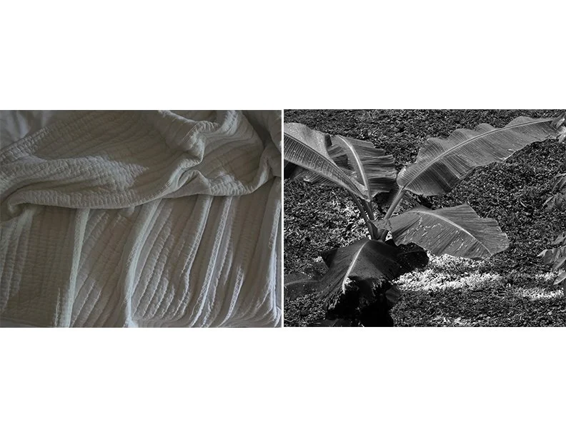 Untitled-1.jpg