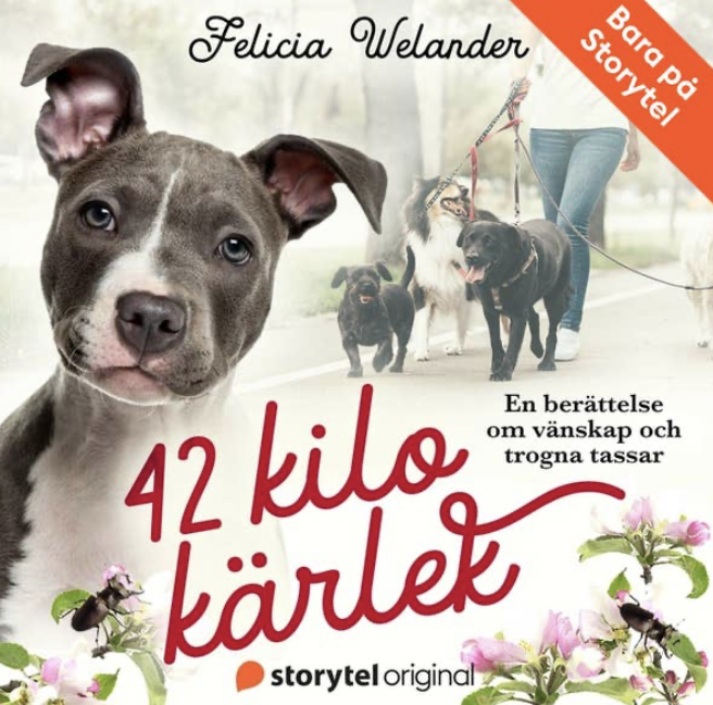 Skärmavbild 2025-06-26 kl. 16.15.50.png