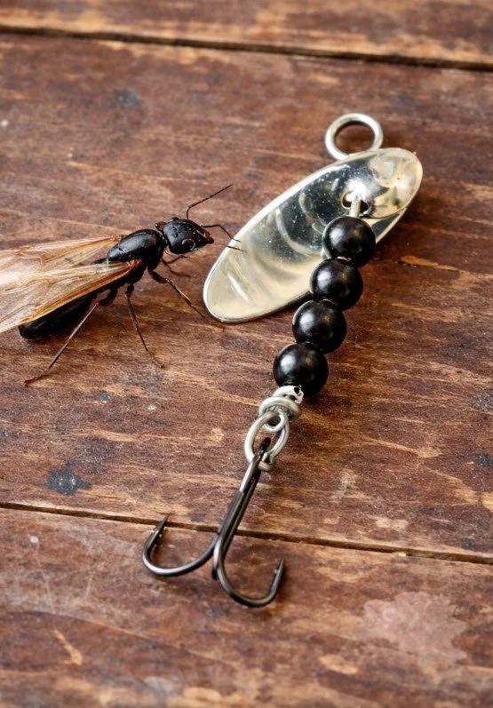 Flying Ant-4 Bead Lure