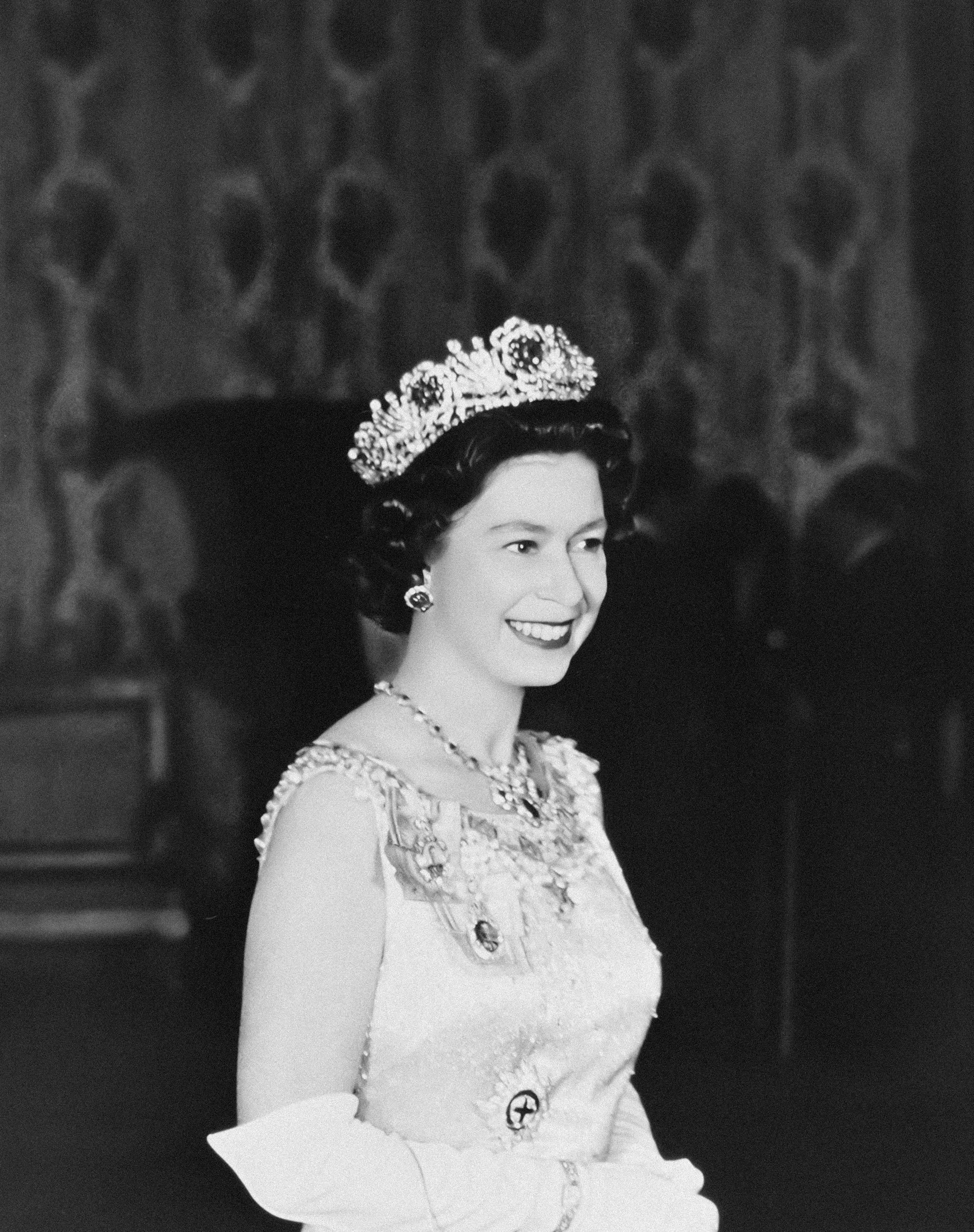 ‘Ivory Queen’