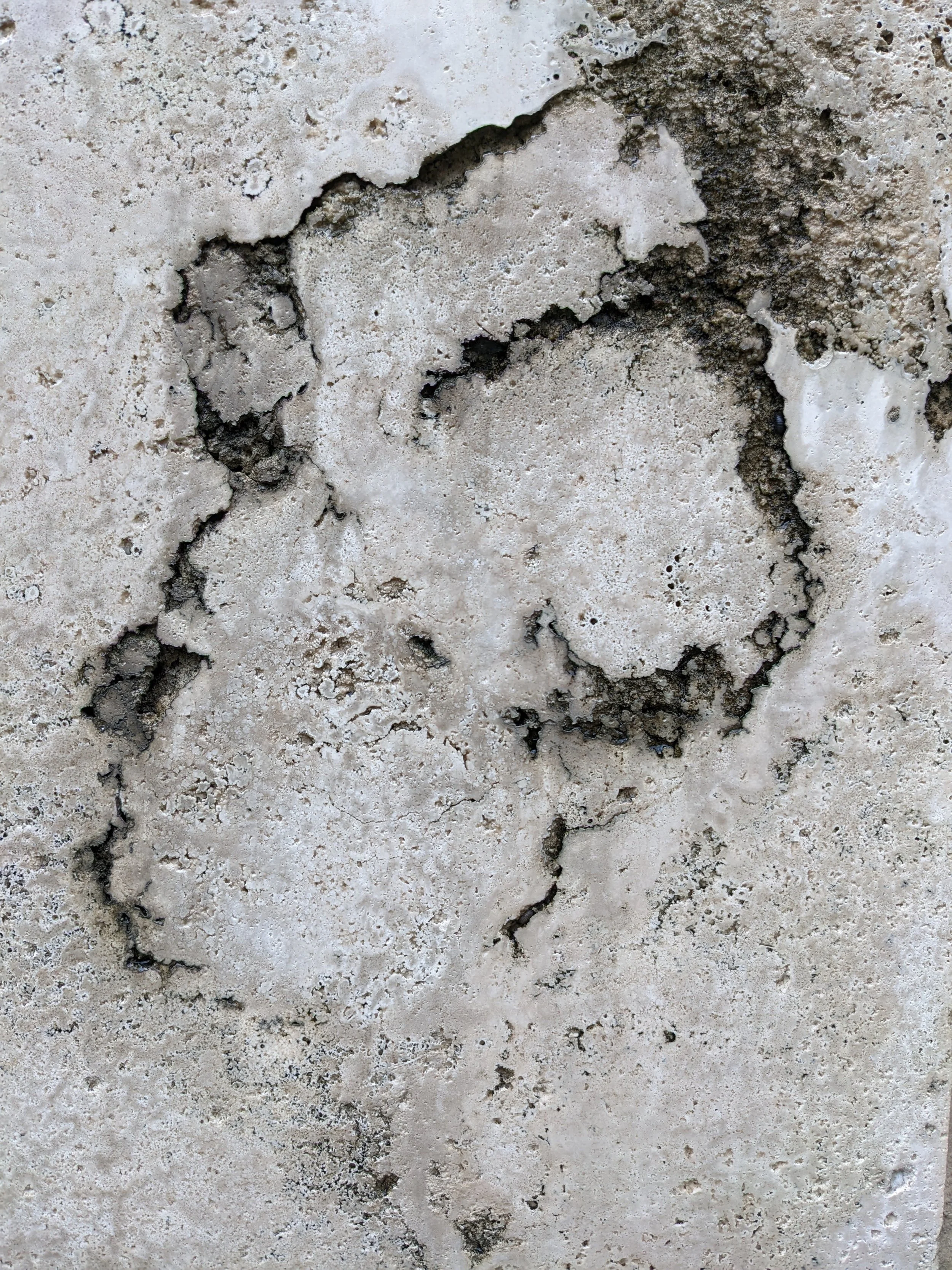 Close-up of cracked and weathered limestone surface with dark and light patches.
