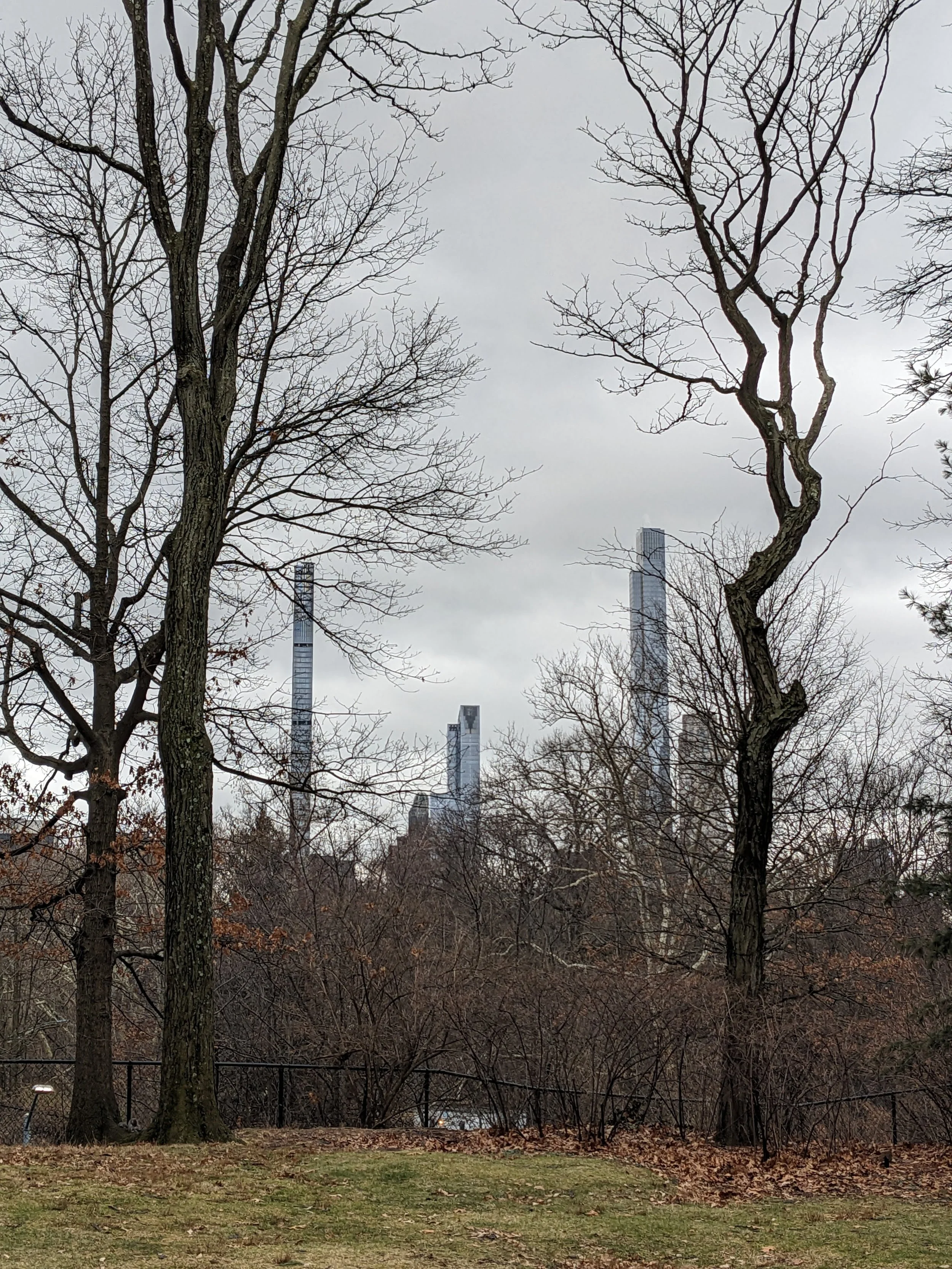 Bare trees in a park with a city skyline of tall buildings in the background under a cloudy sky.