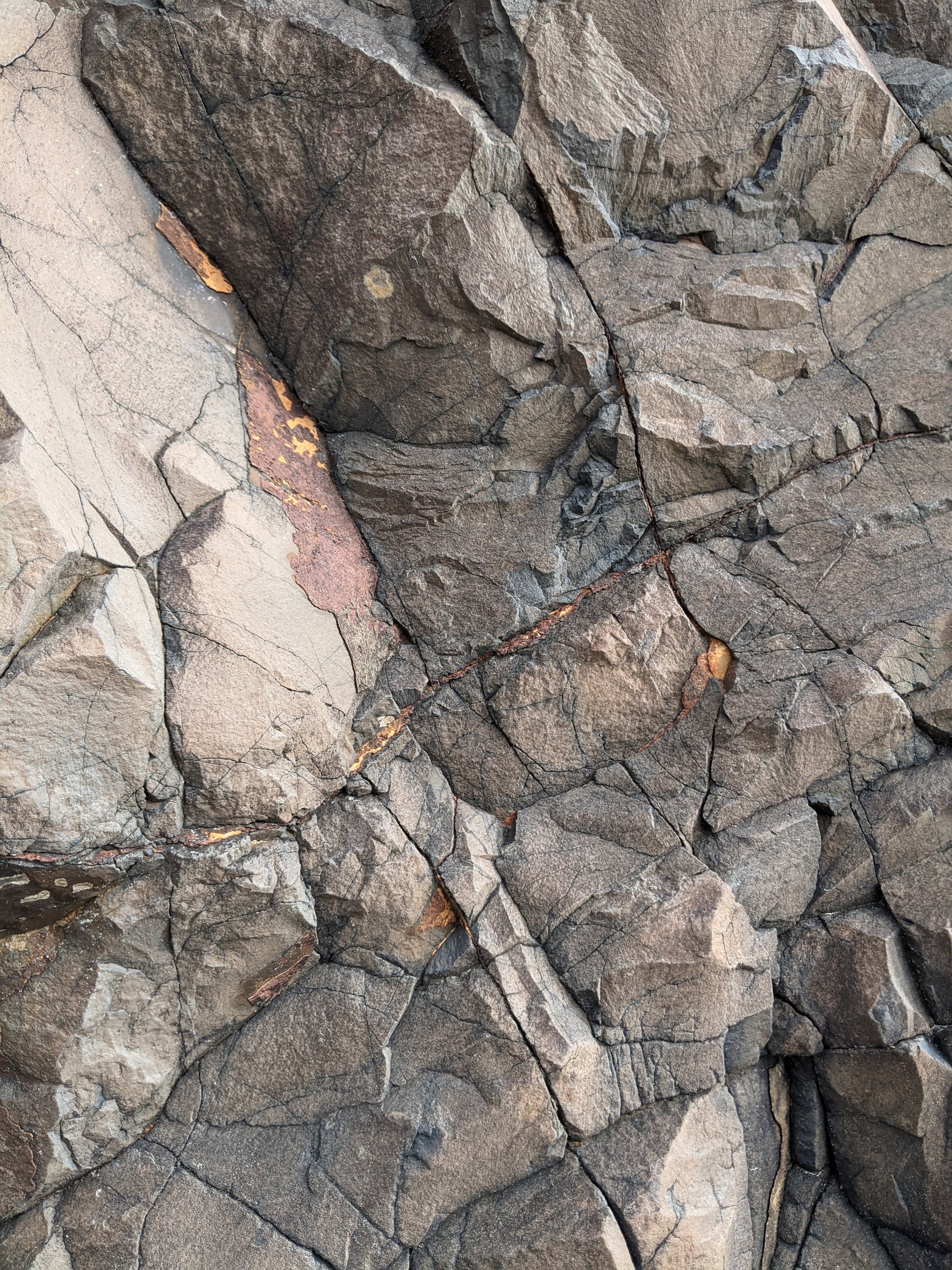 Close-up of a textured rock surface with various cracks and natural formations.