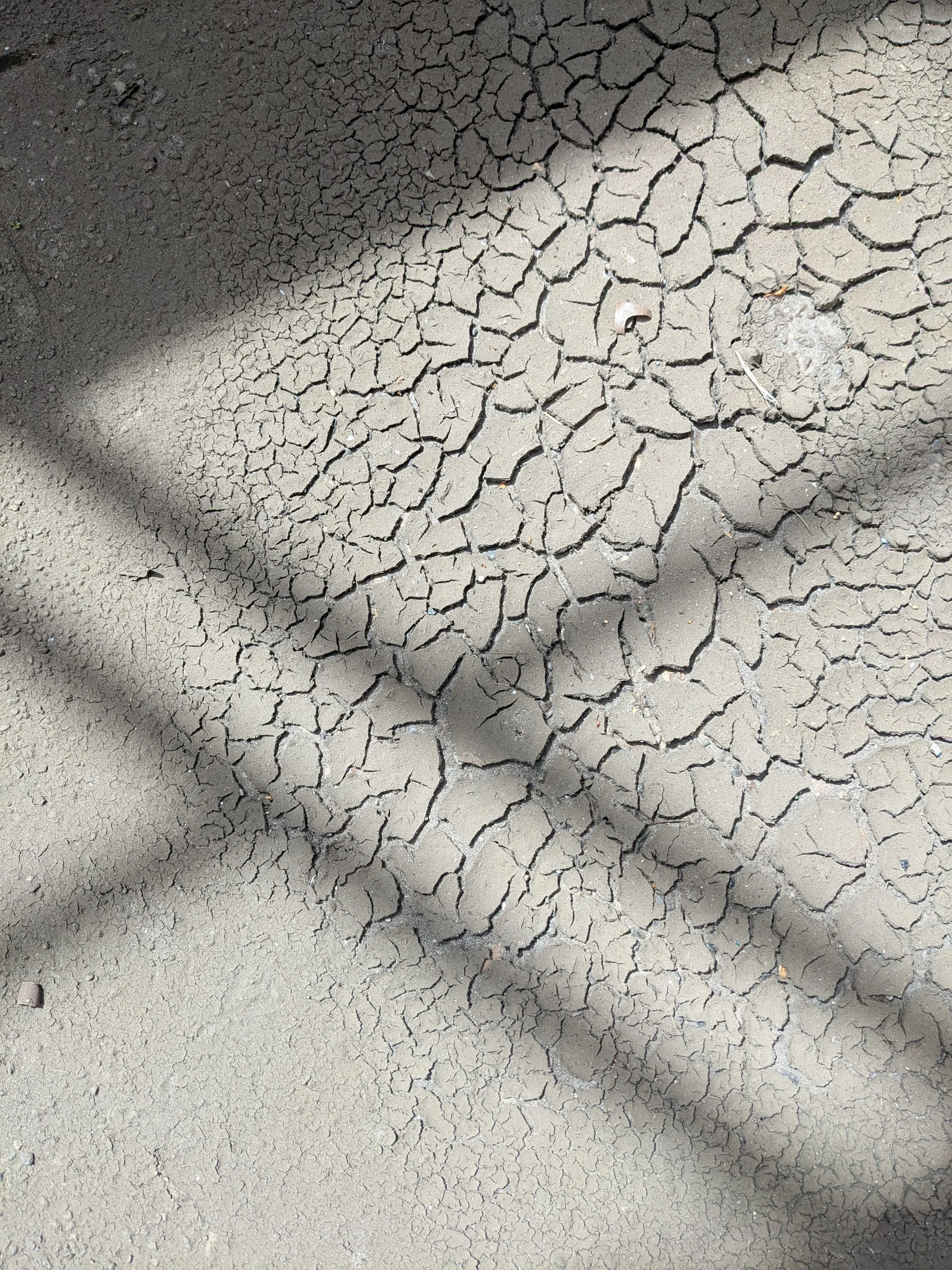 Close-up of cracked, dry soil with shadows cast over part of the surface.