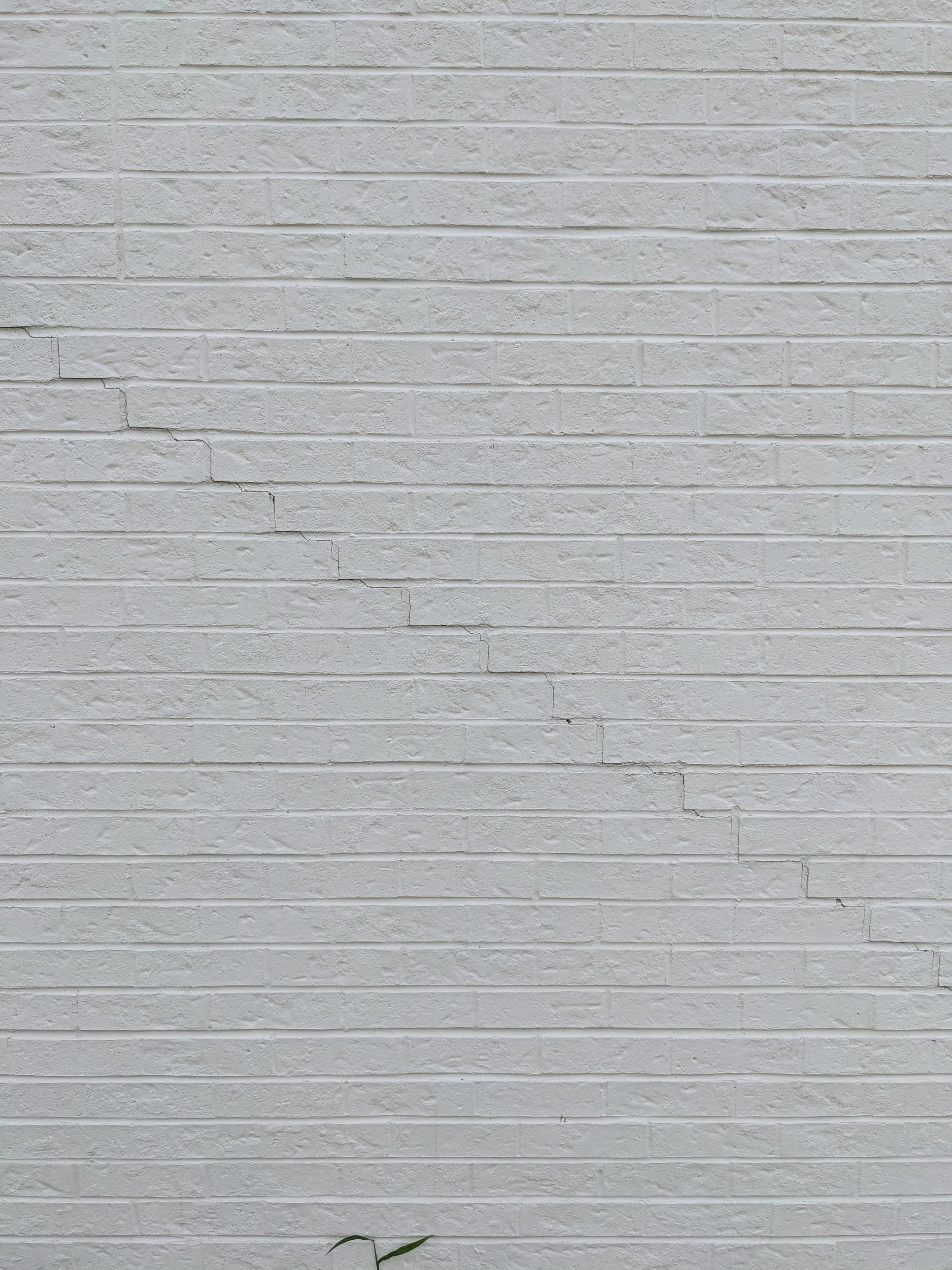 A white brick wall with some cracks and a small green plant at the bottom.