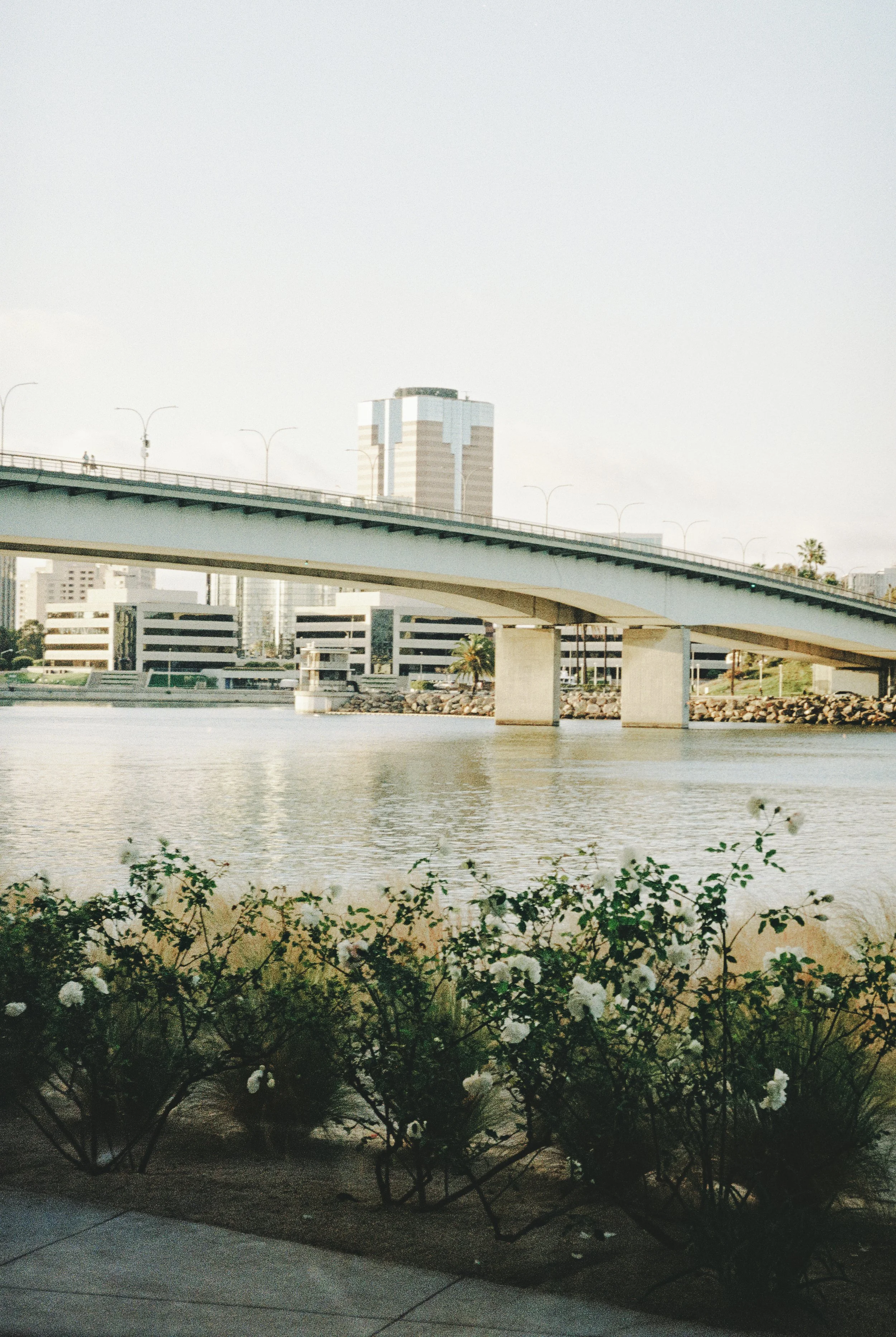 lindsey zach film-27.jpg