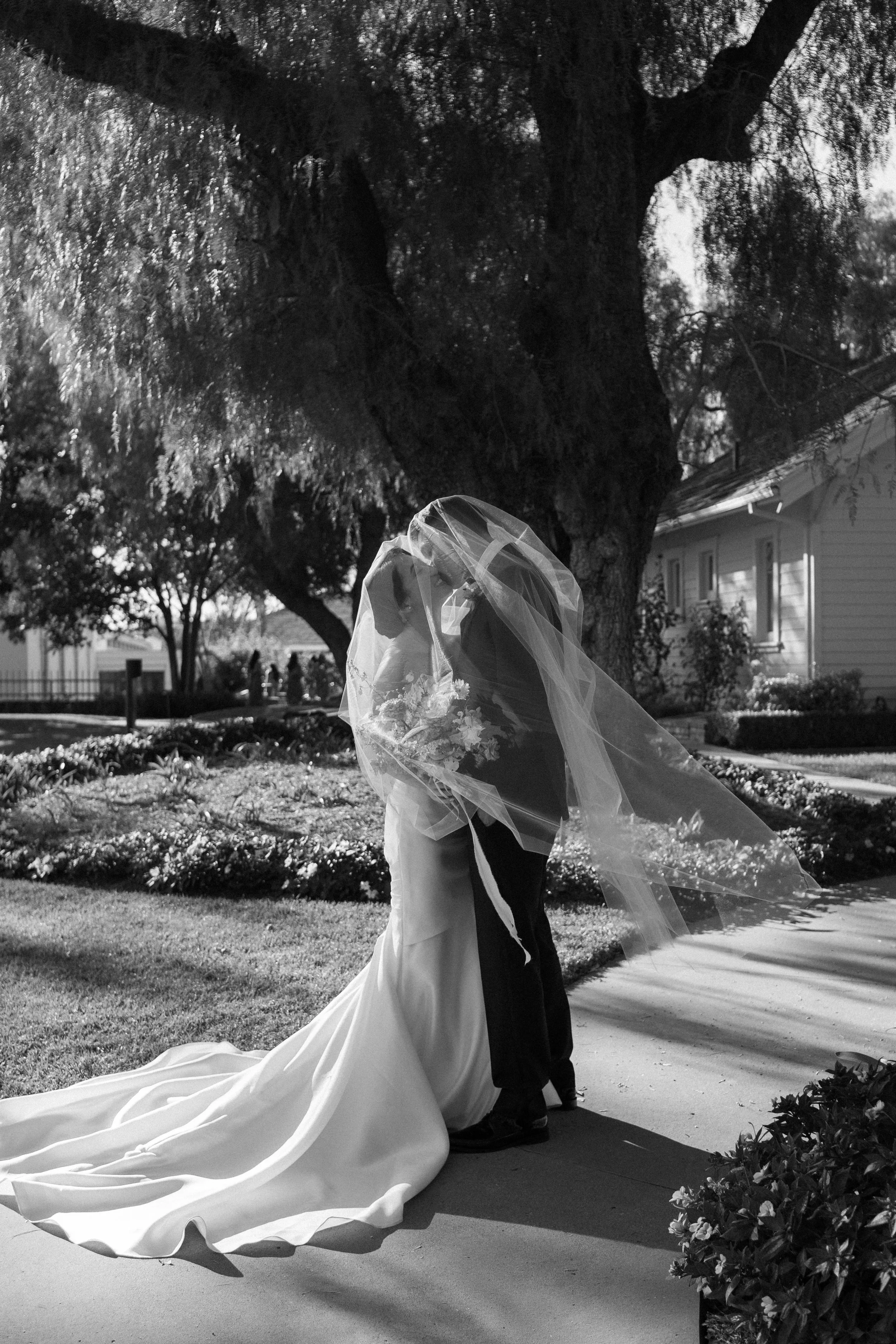 A bride and groom kissing outdoors in front of a large tree, with the bride wearing a long veil and gown, and the groom in a suit. The scene is captured in black and white.