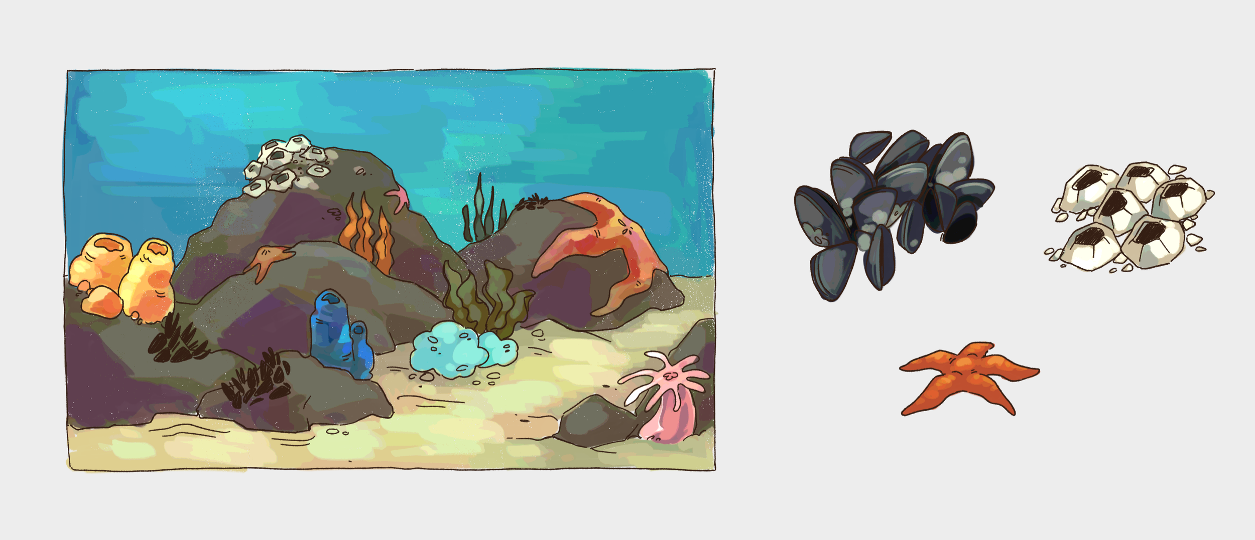 Illustration145 (2).png