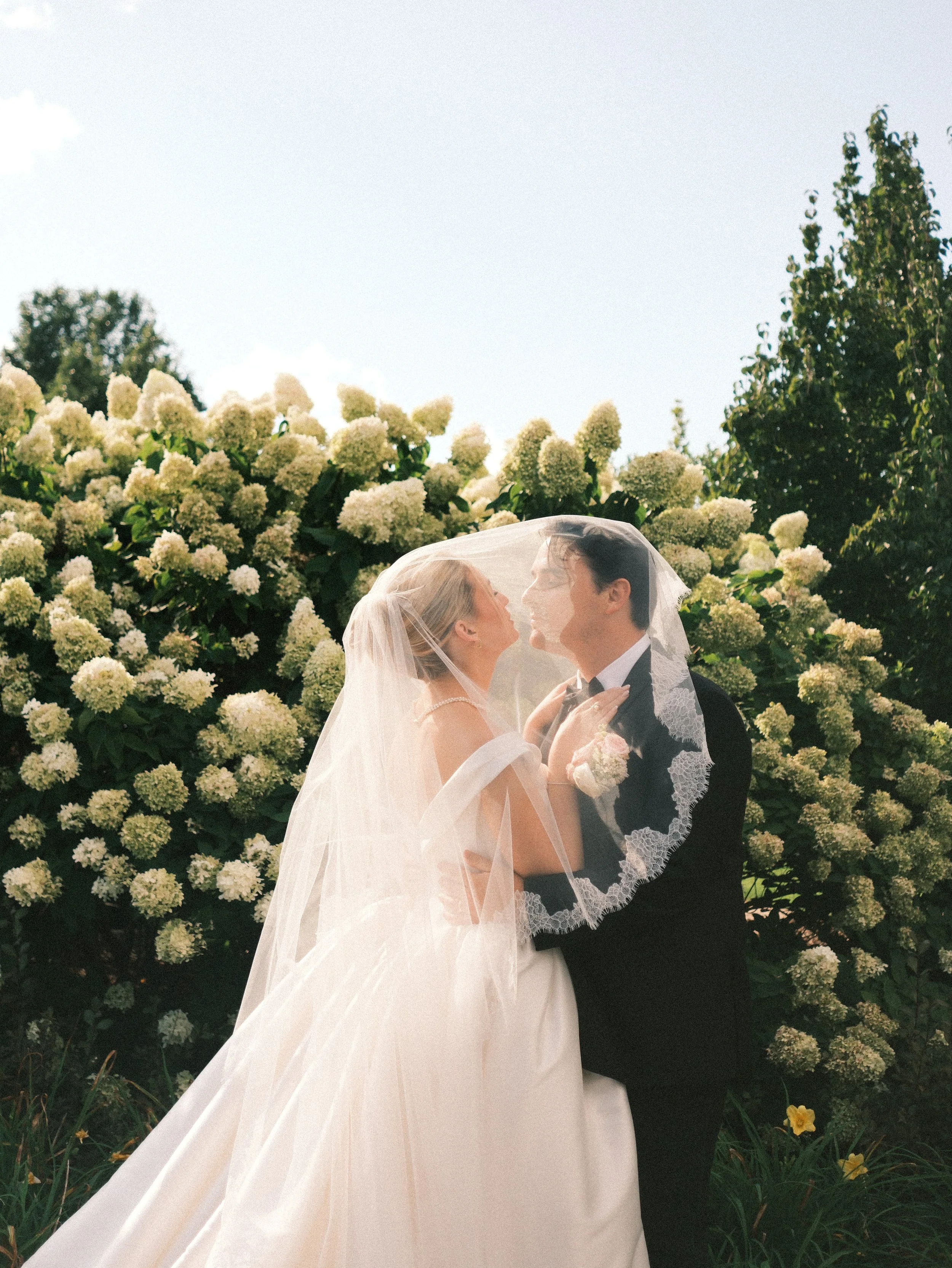 A bride and groom sharing a kiss under a veil outdoors, with white hydrangea flowers and green foliage in the background.