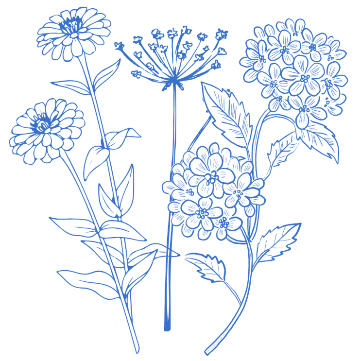 Outline drawing of a cluster of various flowers and leaves in blue on a black background.