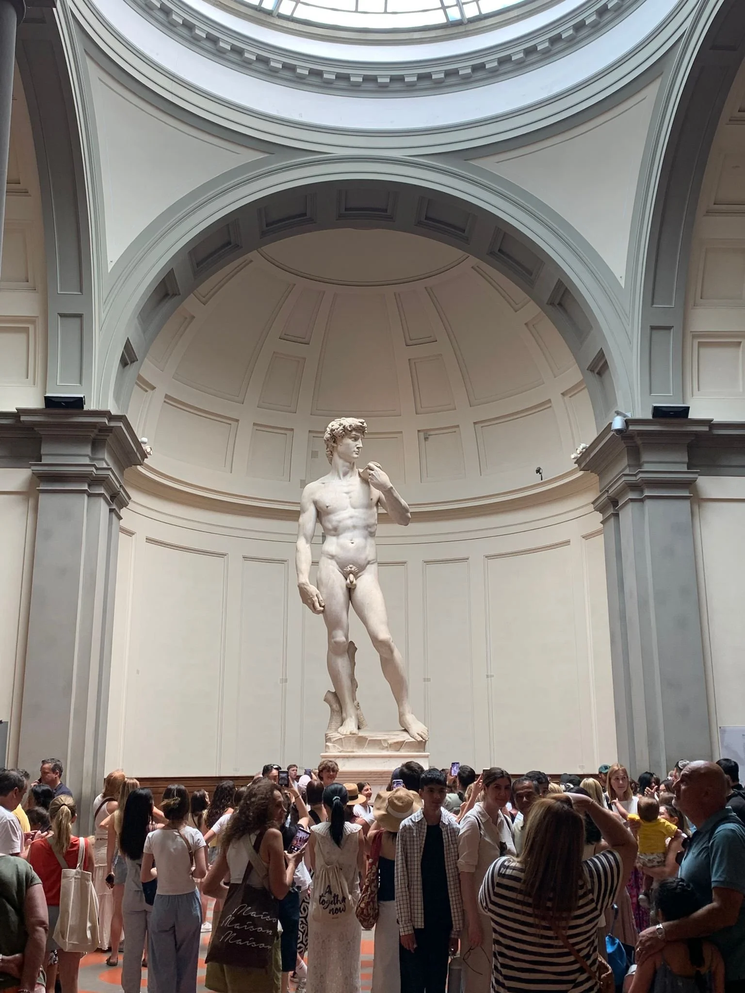 Michelangelo’s David: A Marble Symphony of Strength and Elegance 