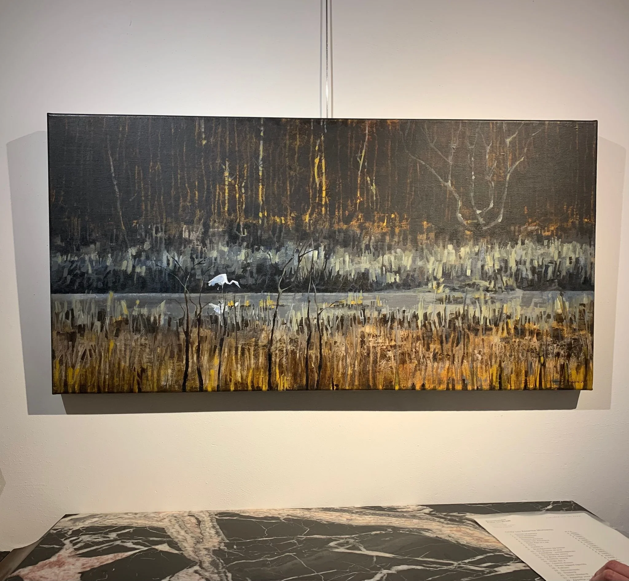 A Landscape That Refuses to Become Only a View: C. L. Roxanne Monsanto, Groningen