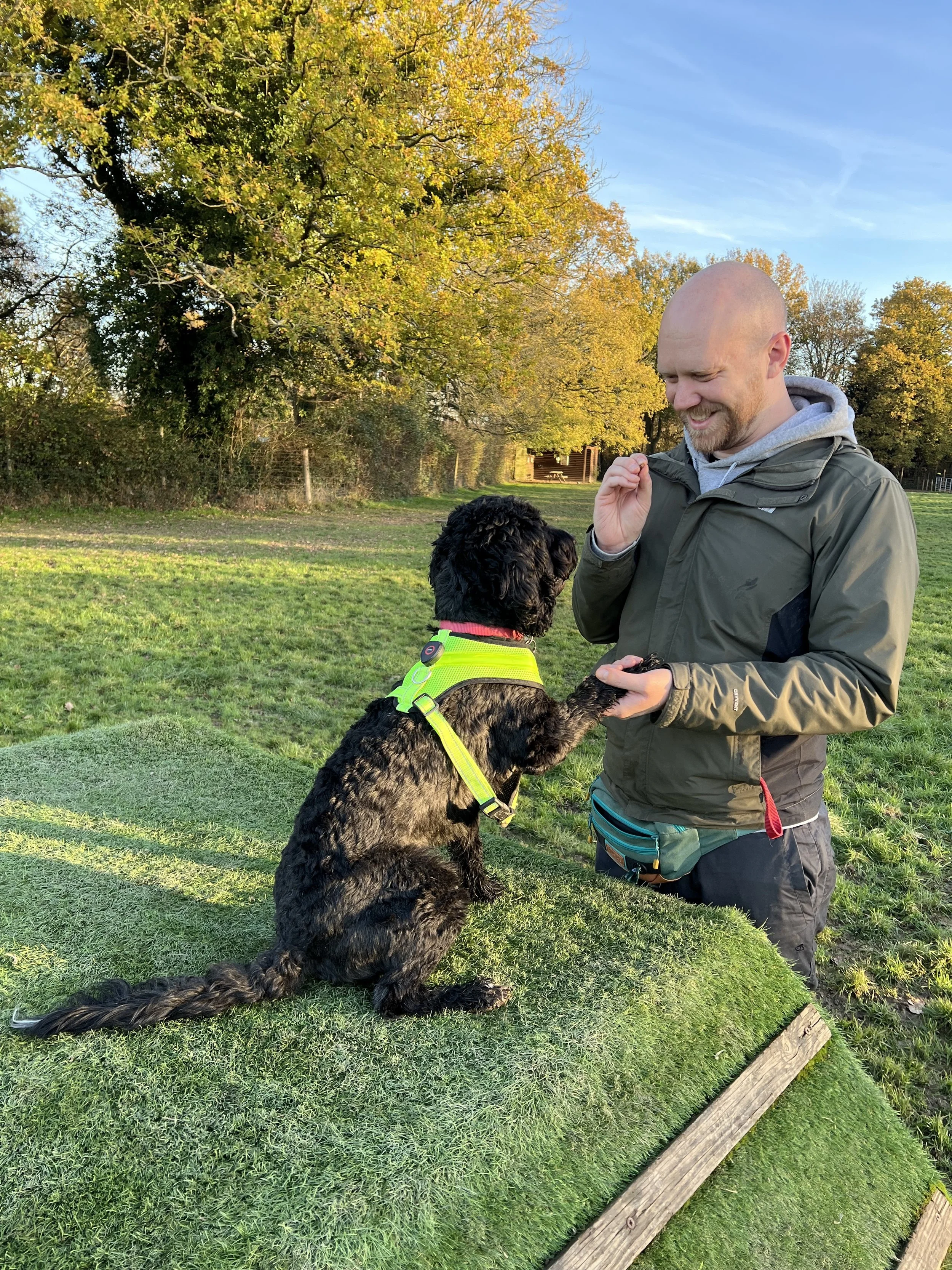 A man and a cockapoo with curly fur, sitting on a grassy hill, doing dog training during daytime outdoors, with trees and a clear blue sky in the background.