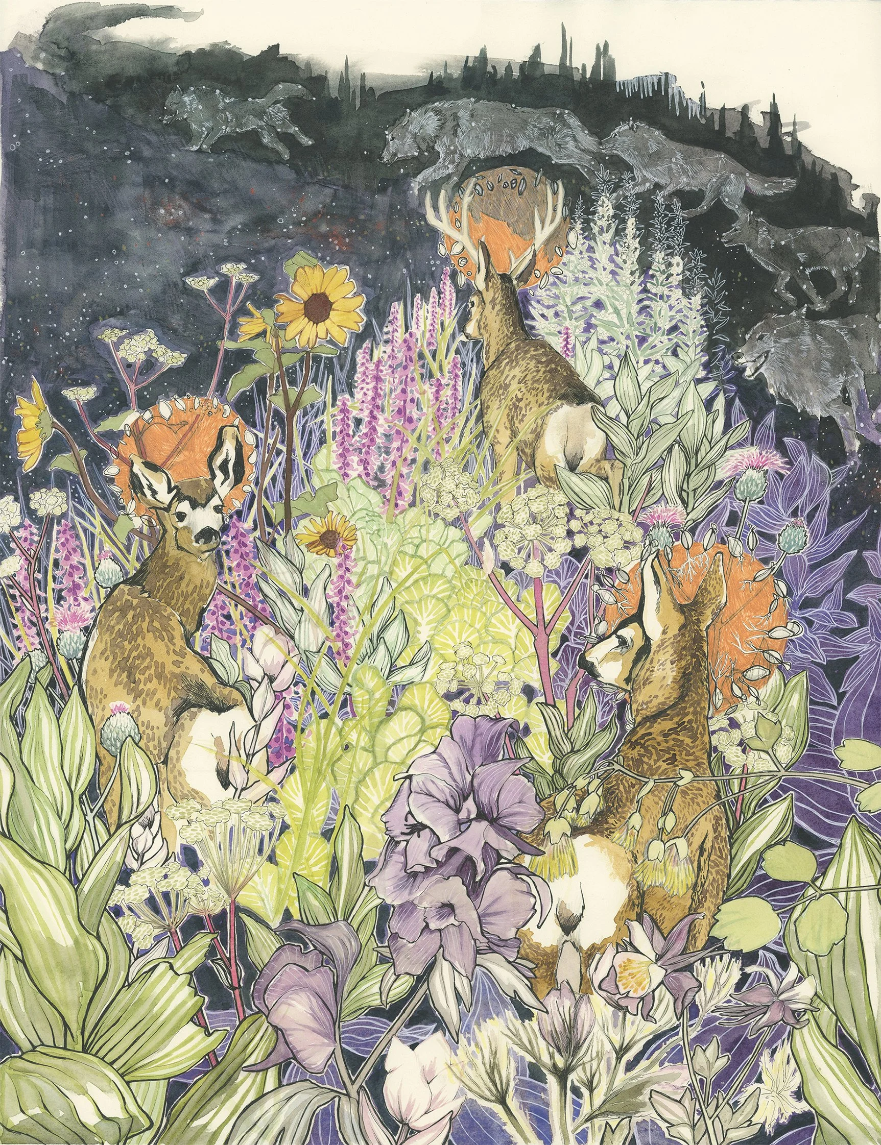 Copy of Poison meadow small.jpg