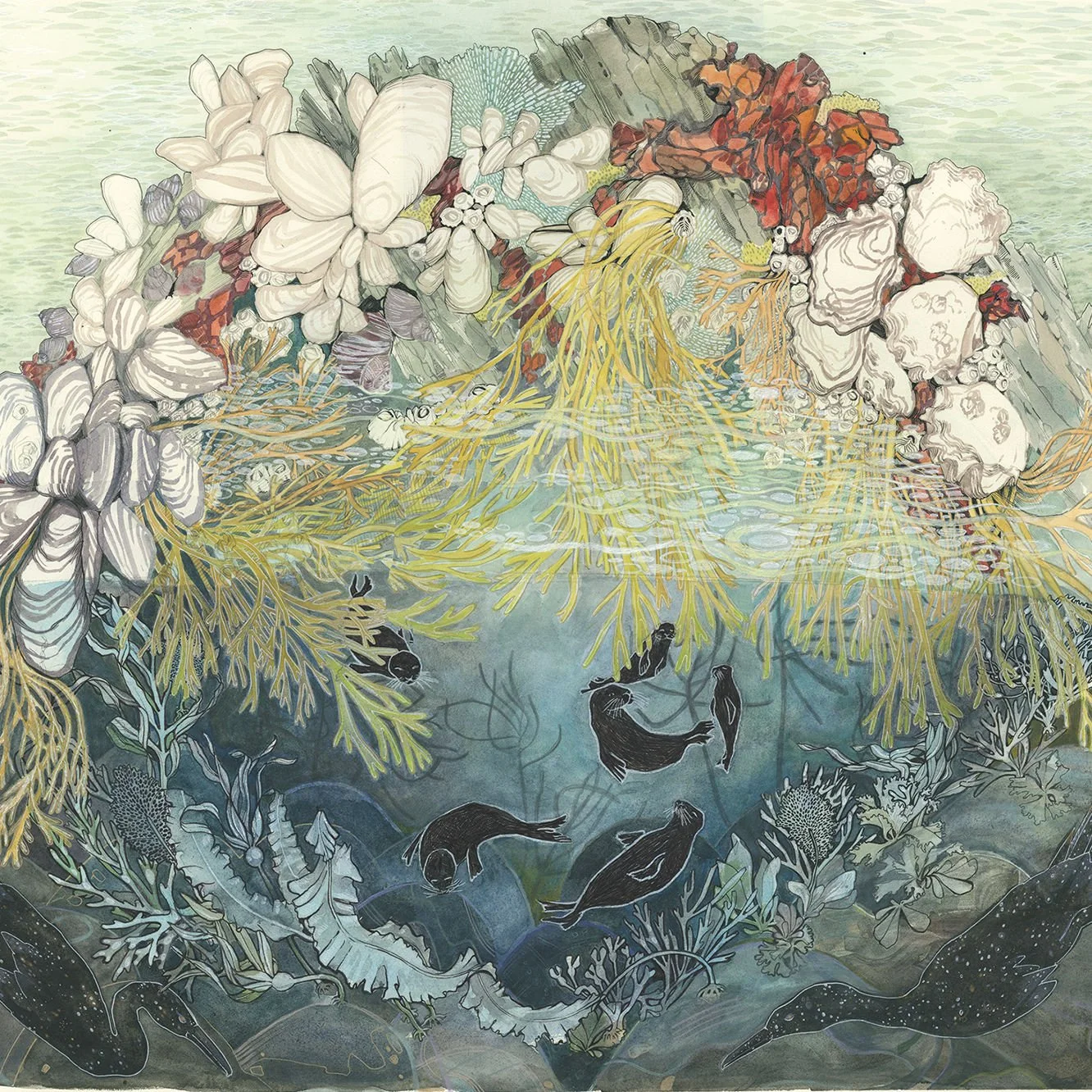 Copy of AtlanticSM crop.jpg