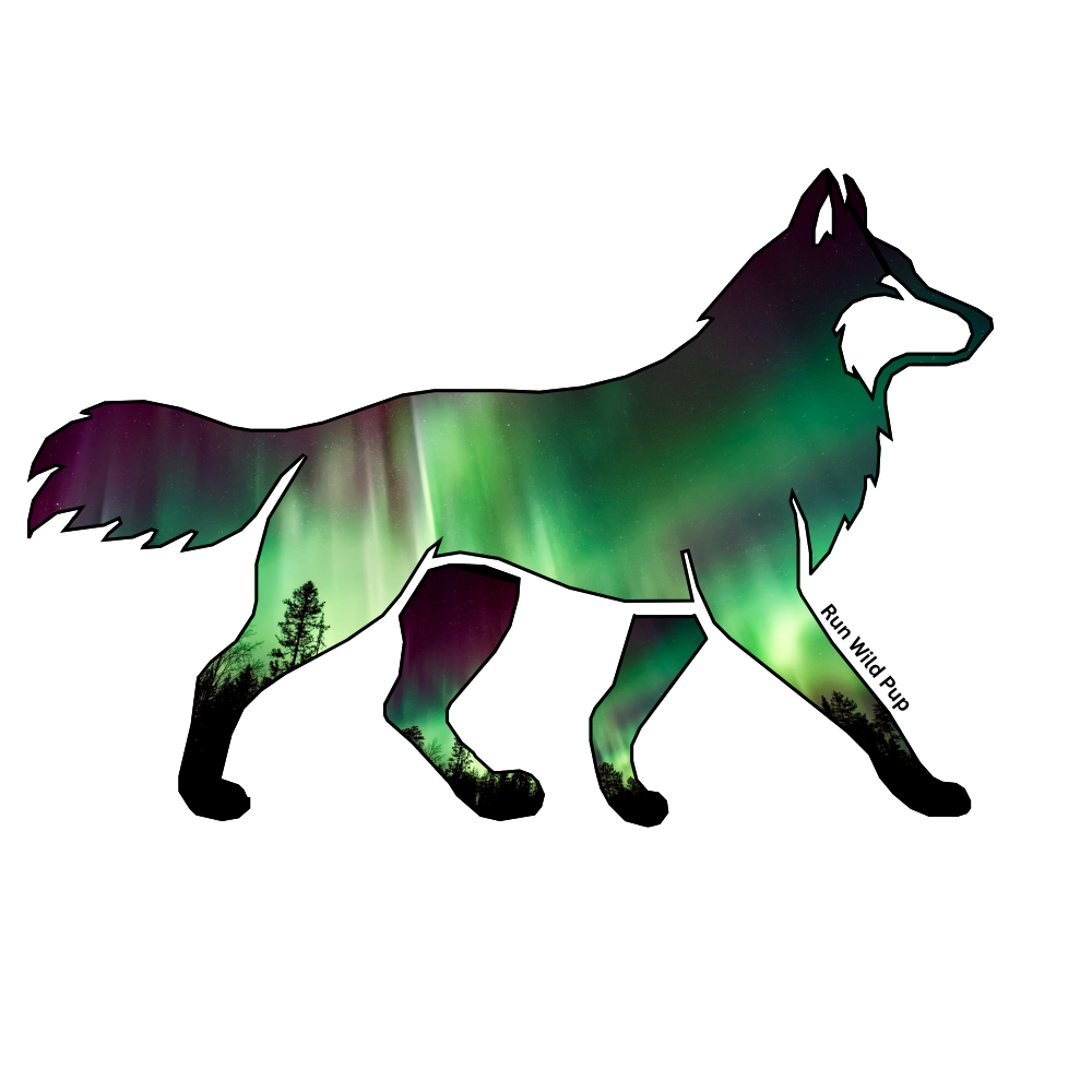 Run Wild Pup (2).png