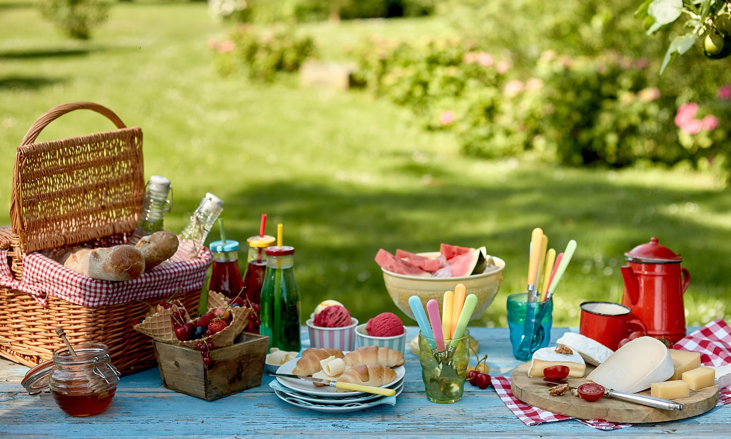 DEM GROUP COALITION PICNIC