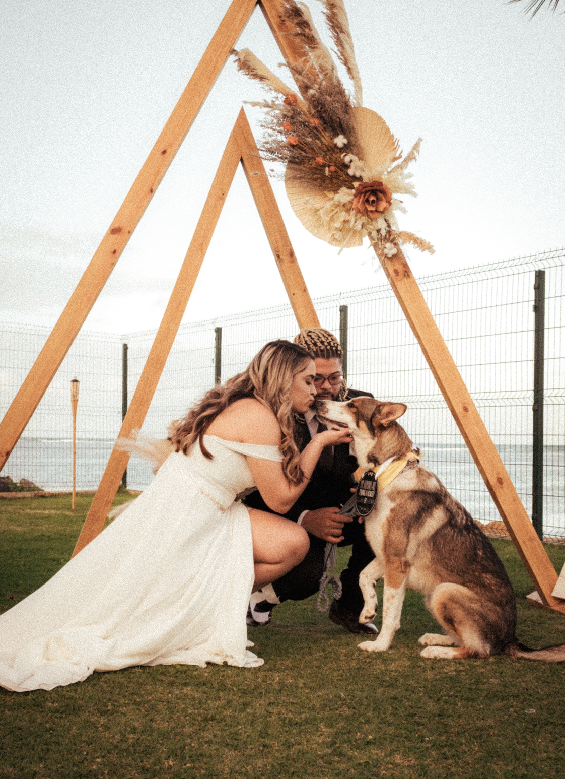 Screenshot 2026-02-02 at 16.46.39.png