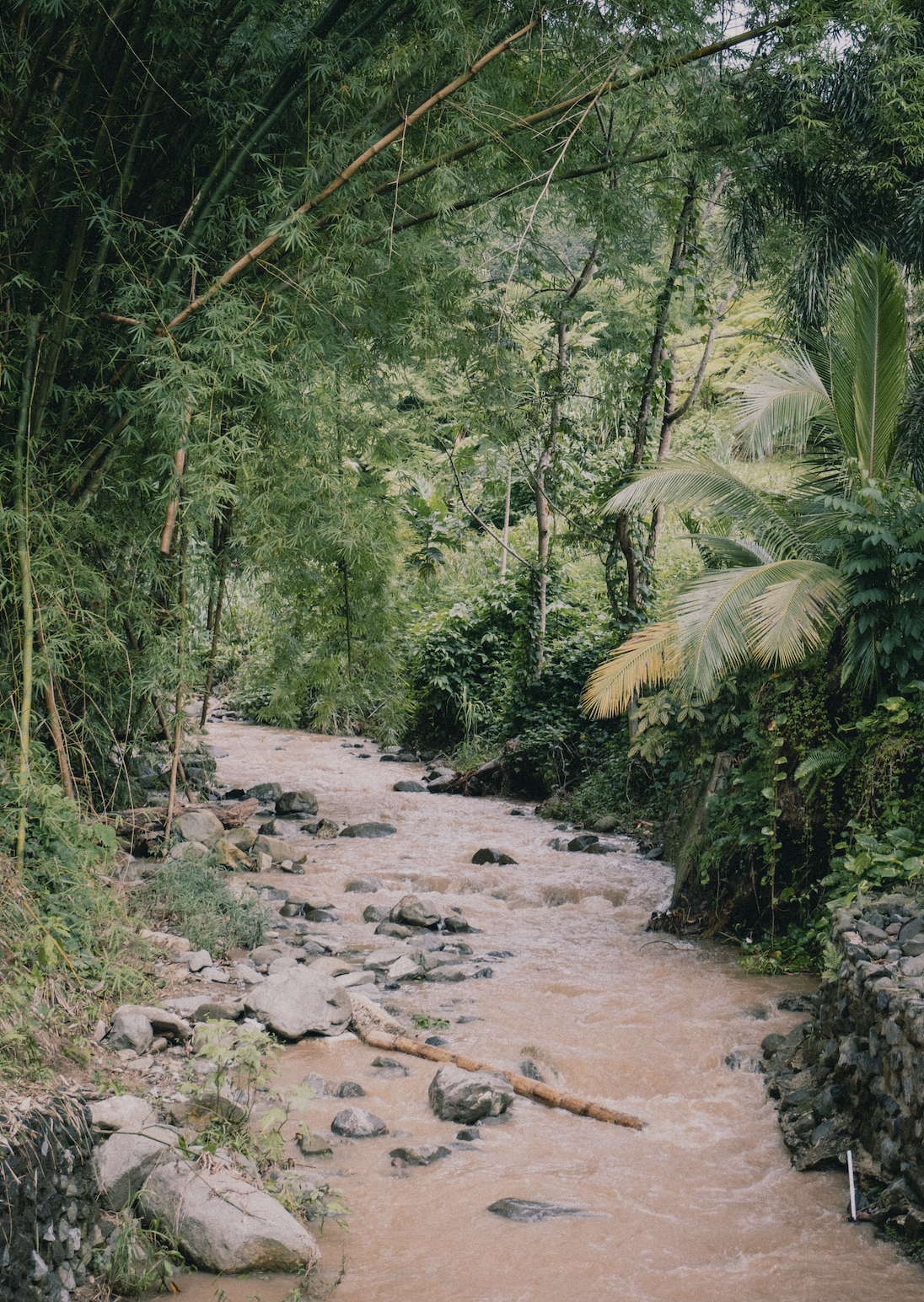 Screenshot 2026-02-16 at 09.39.15.png