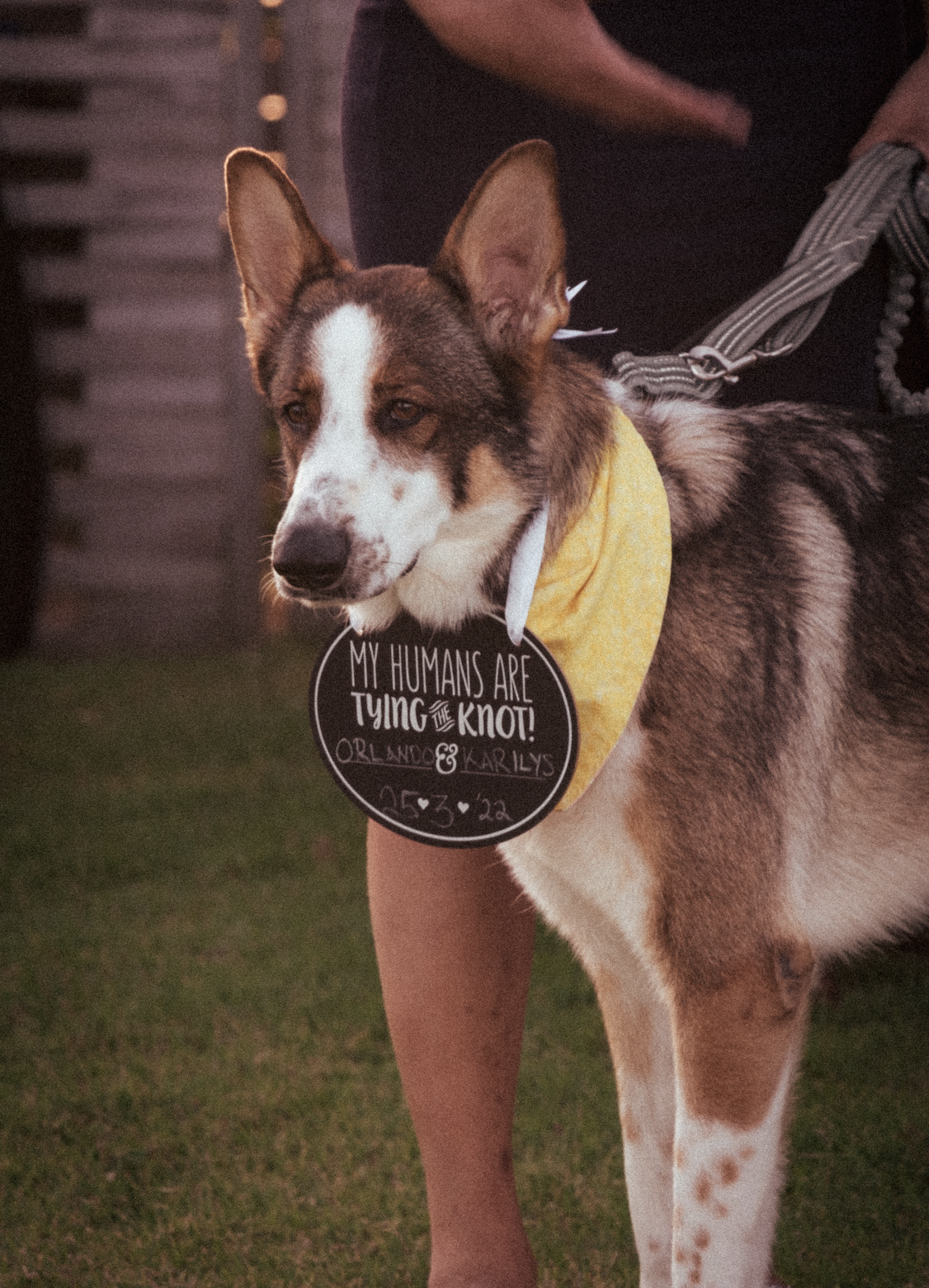 Screenshot 2026-02-02 at 16.42.20.png