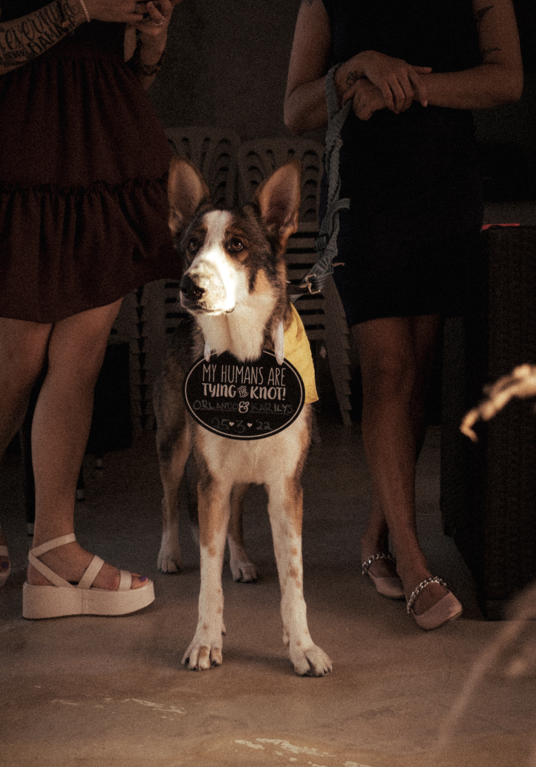 Screenshot 2026-02-02 at 16.40.51.png