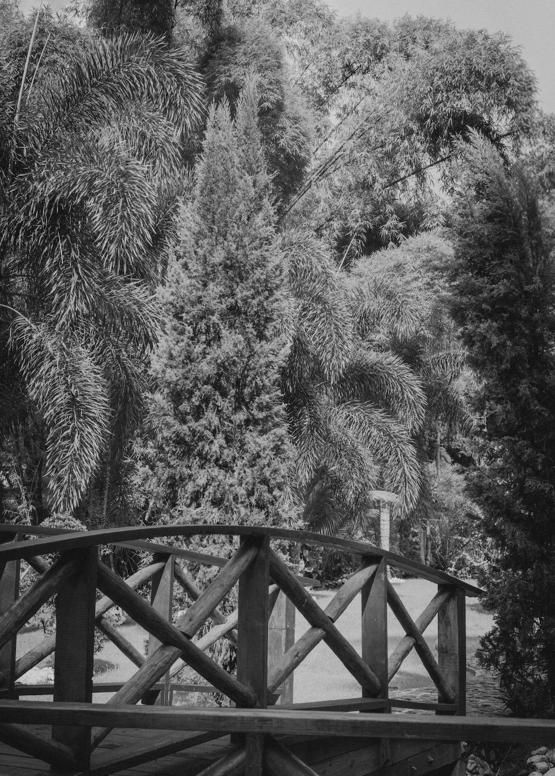 Screenshot 2026-02-16 at 09.38.34.png