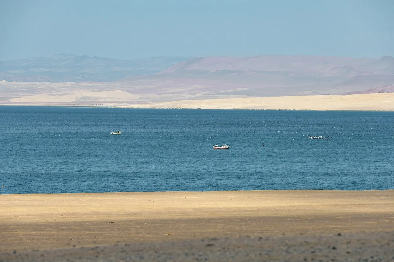 _DSC8226.jpg