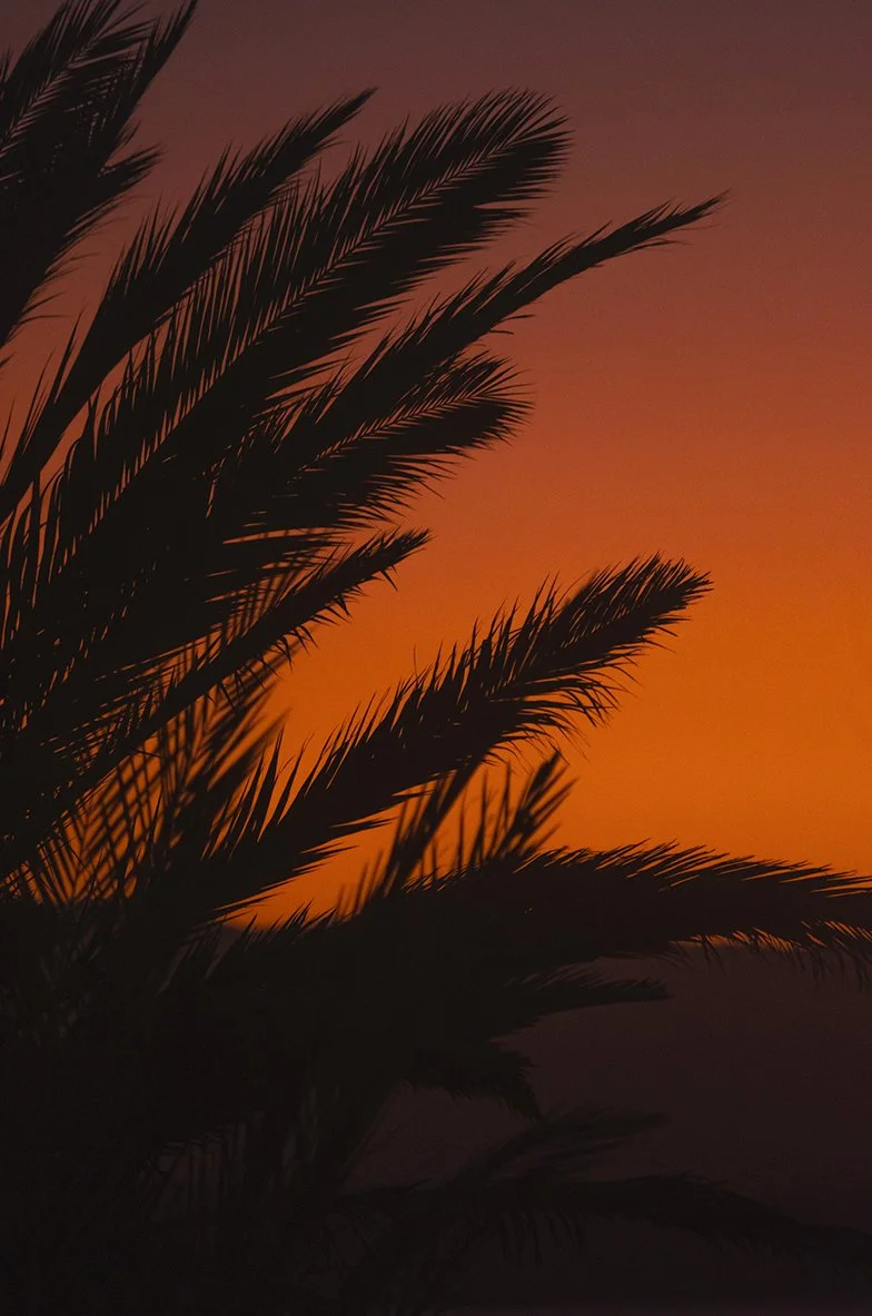 Sombras Tropicales / compra para descarga